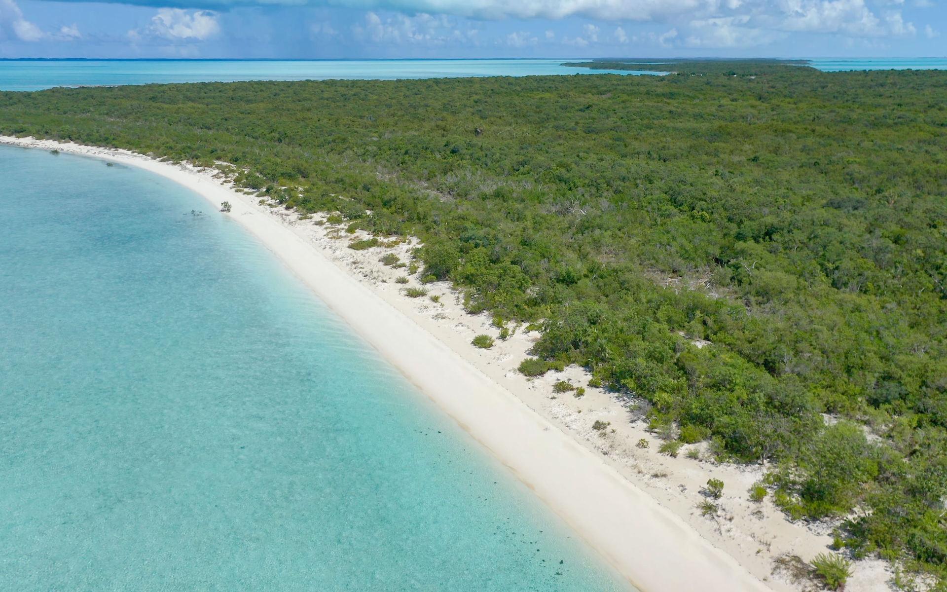 HUMMINGBIRD CAY