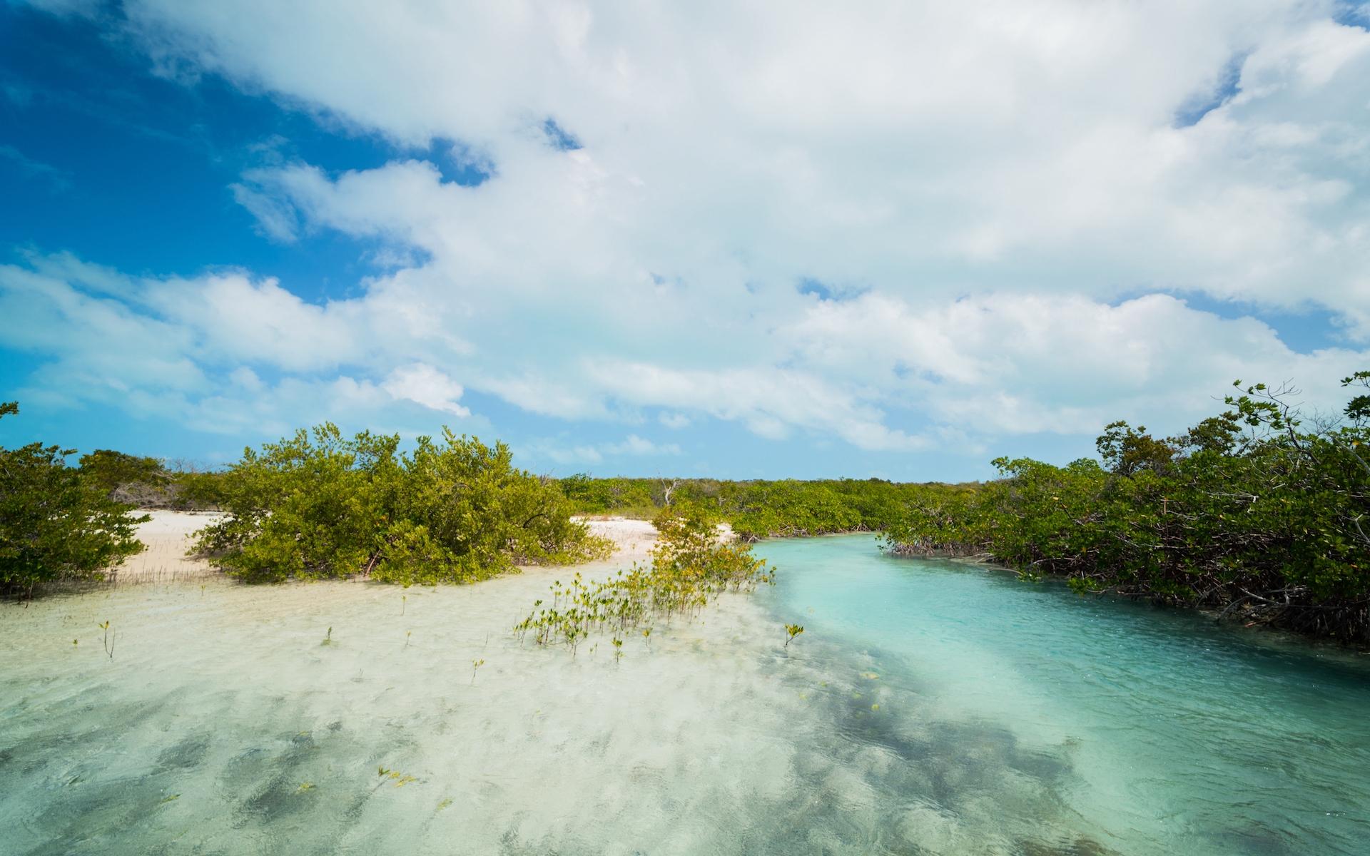 HUMMINGBIRD CAY