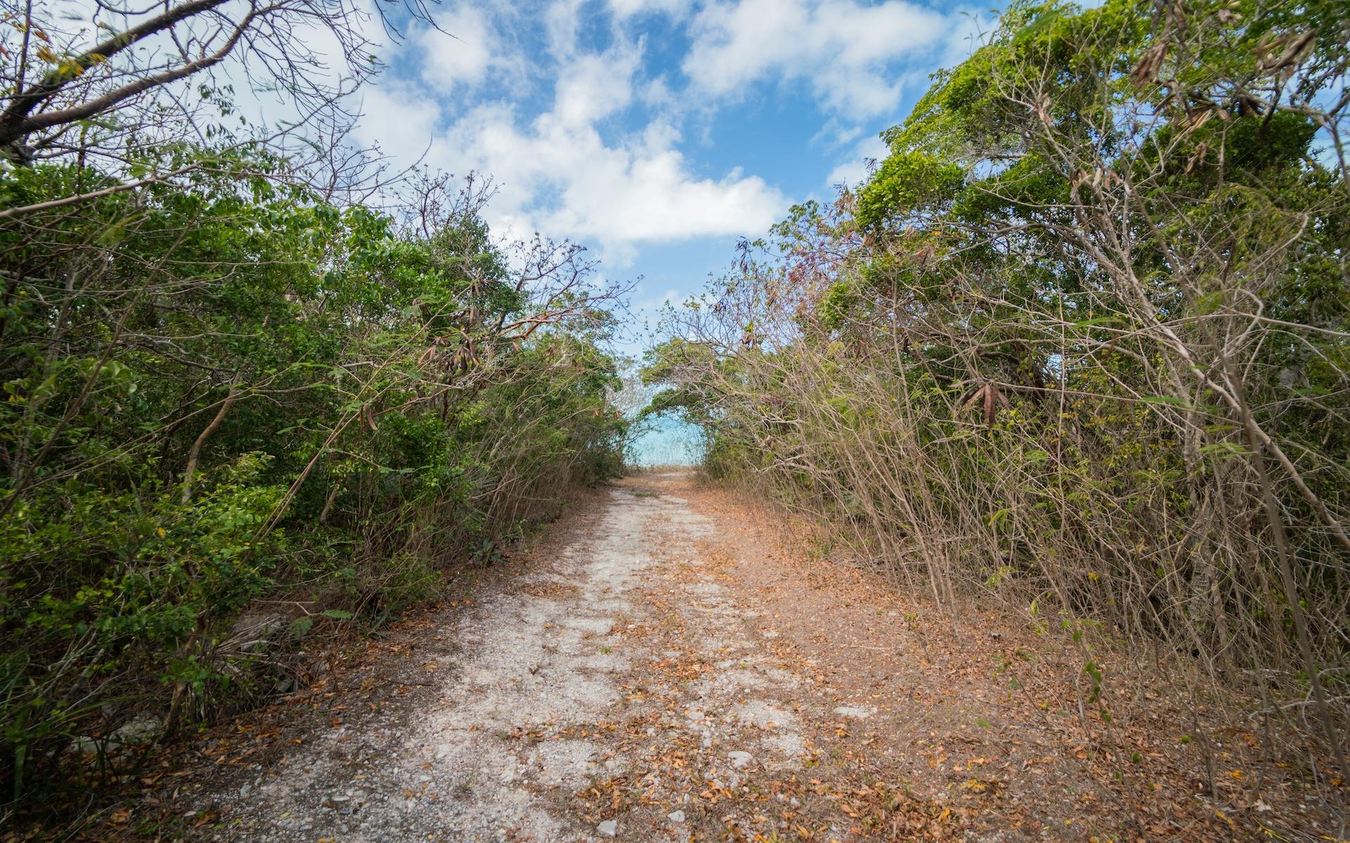 HUMMINGBIRD CAY