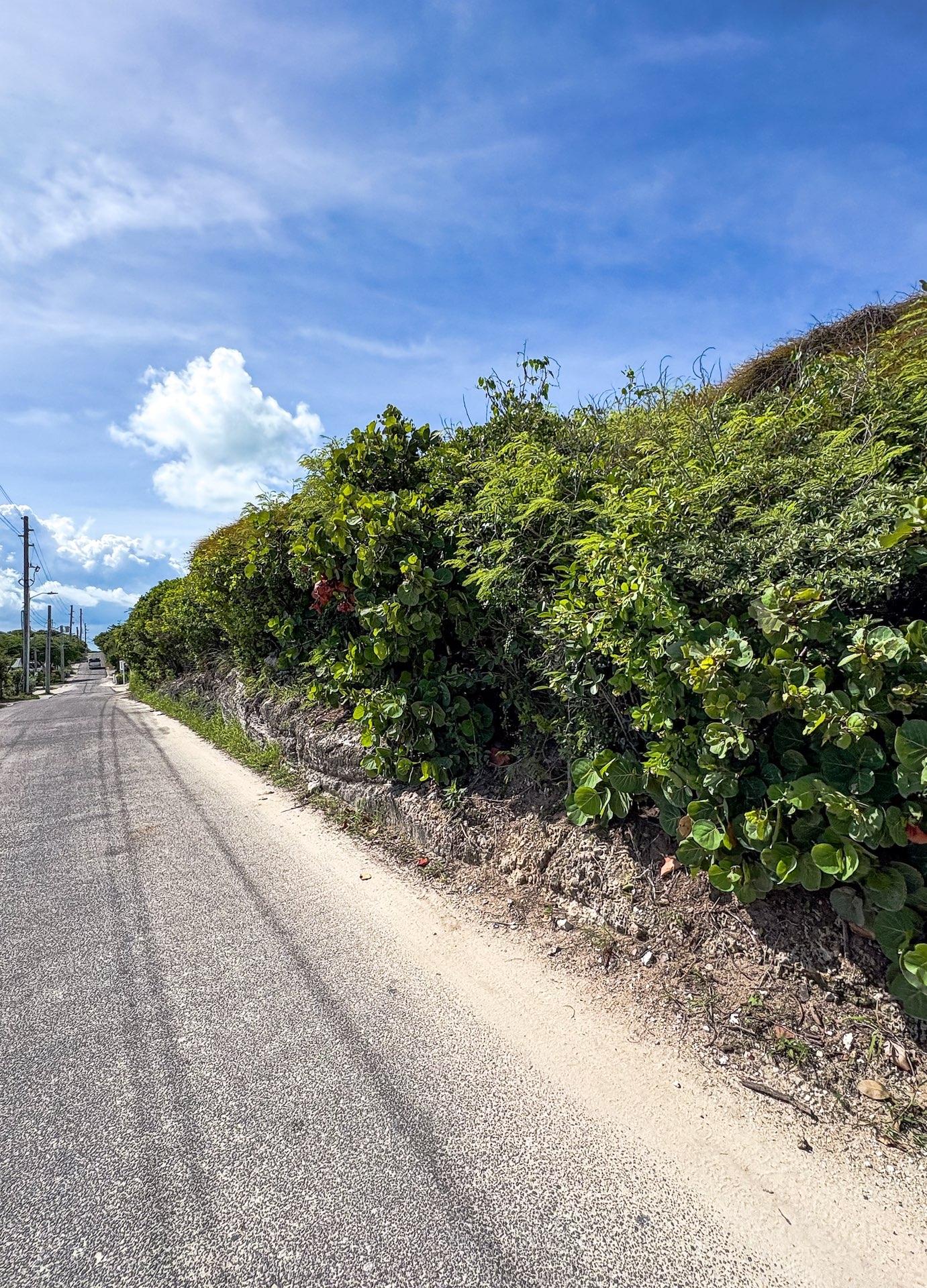 17B & 18B, Elbow Cay
