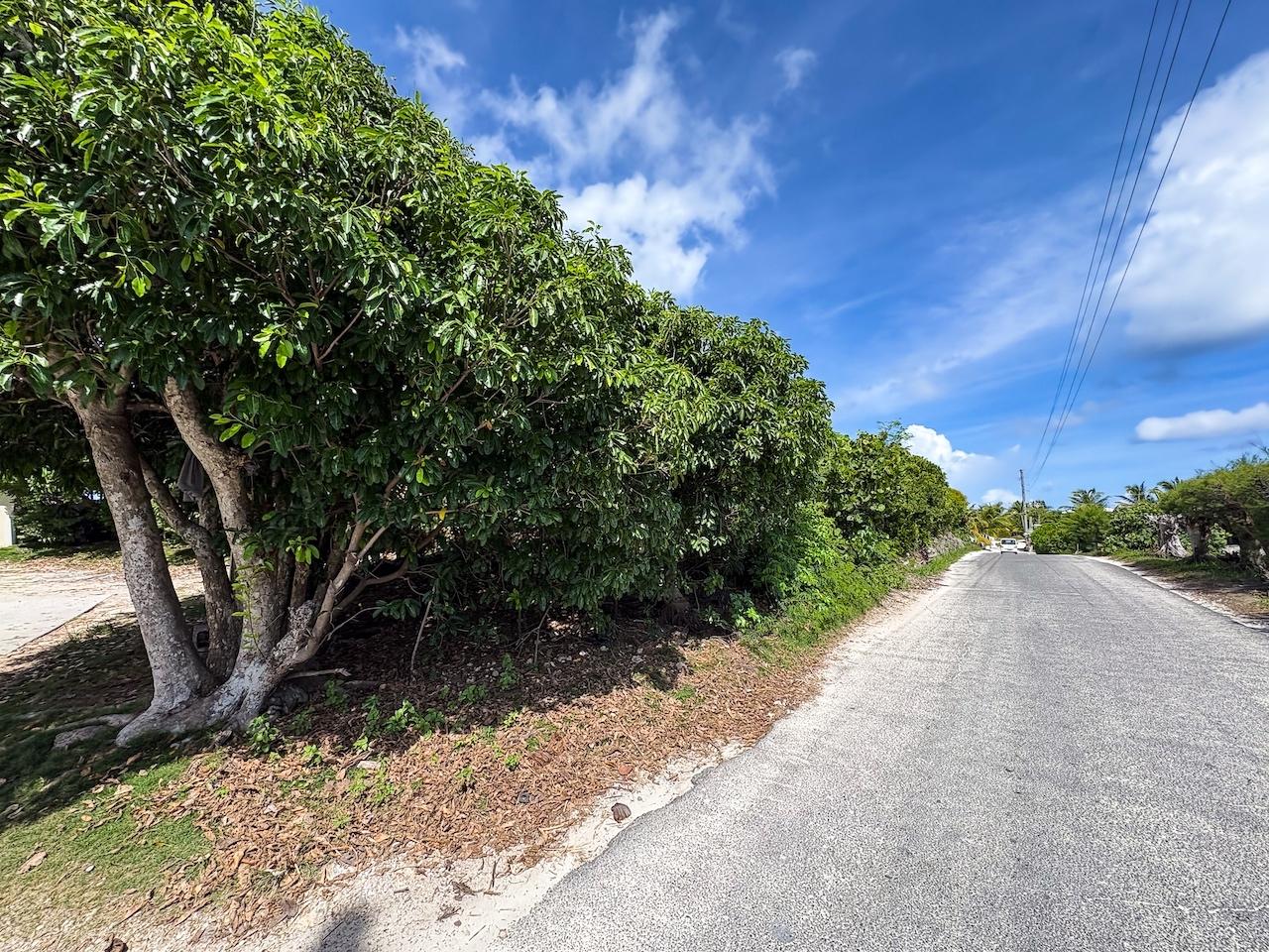 17B & 18B, Elbow Cay