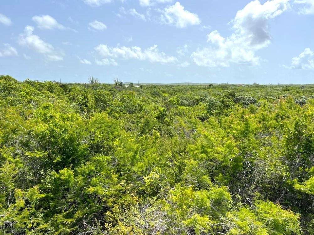 San Salvador Lot