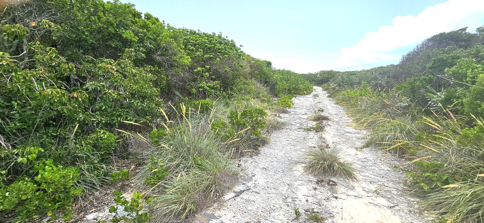 Whale Point Lot