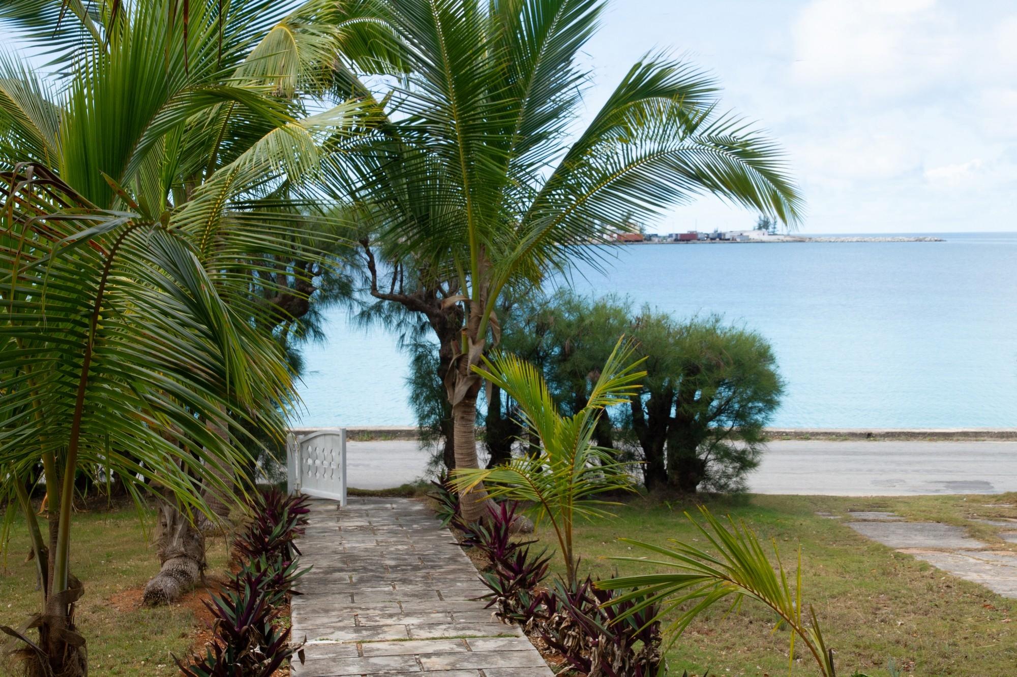 PARADISE FOUND