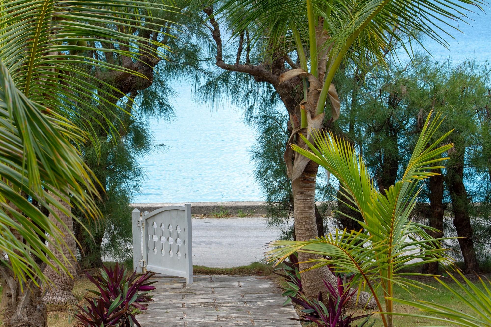 PARADISE FOUND