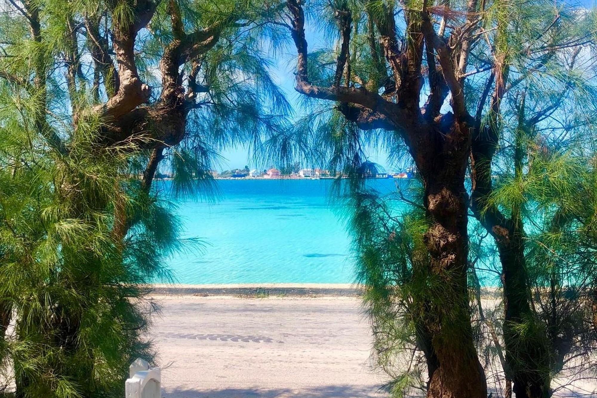 PARADISE FOUND