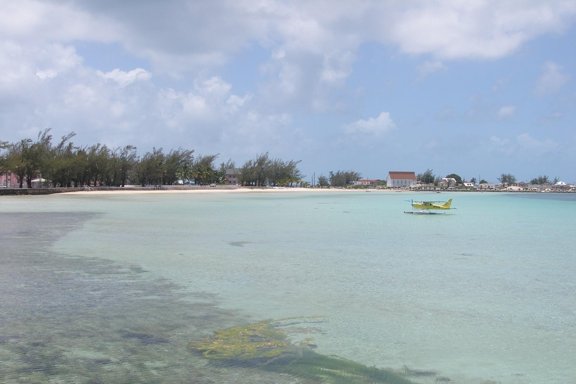 PARADISE FOUND