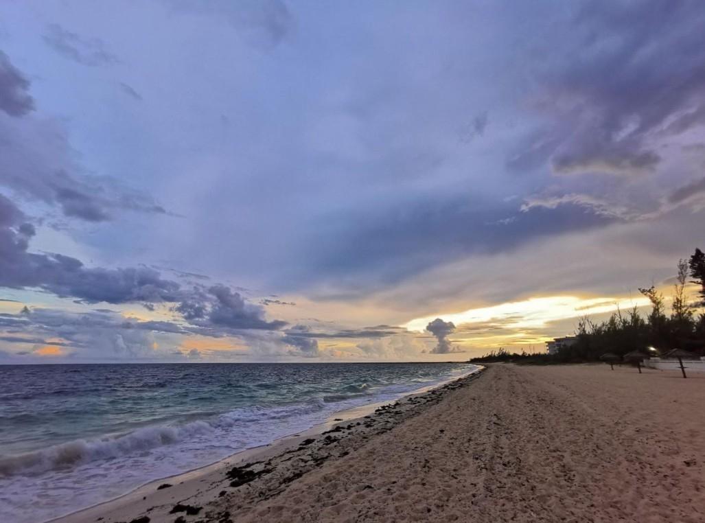105 BAHAMA REEF