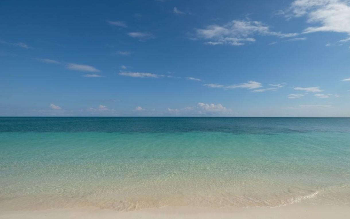 105 BAHAMA REEF