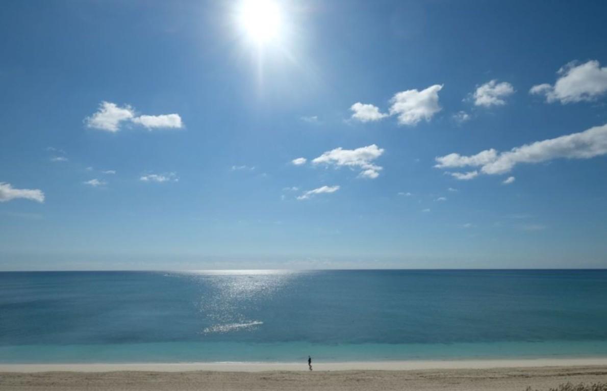 105 BAHAMA REEF