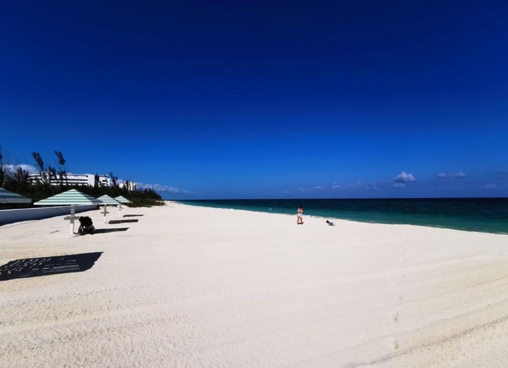 105 BAHAMA REEF
