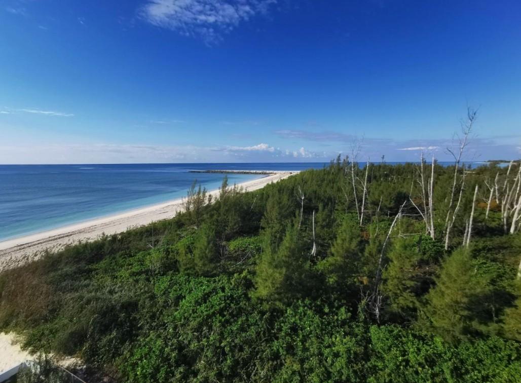 105 BAHAMA REEF