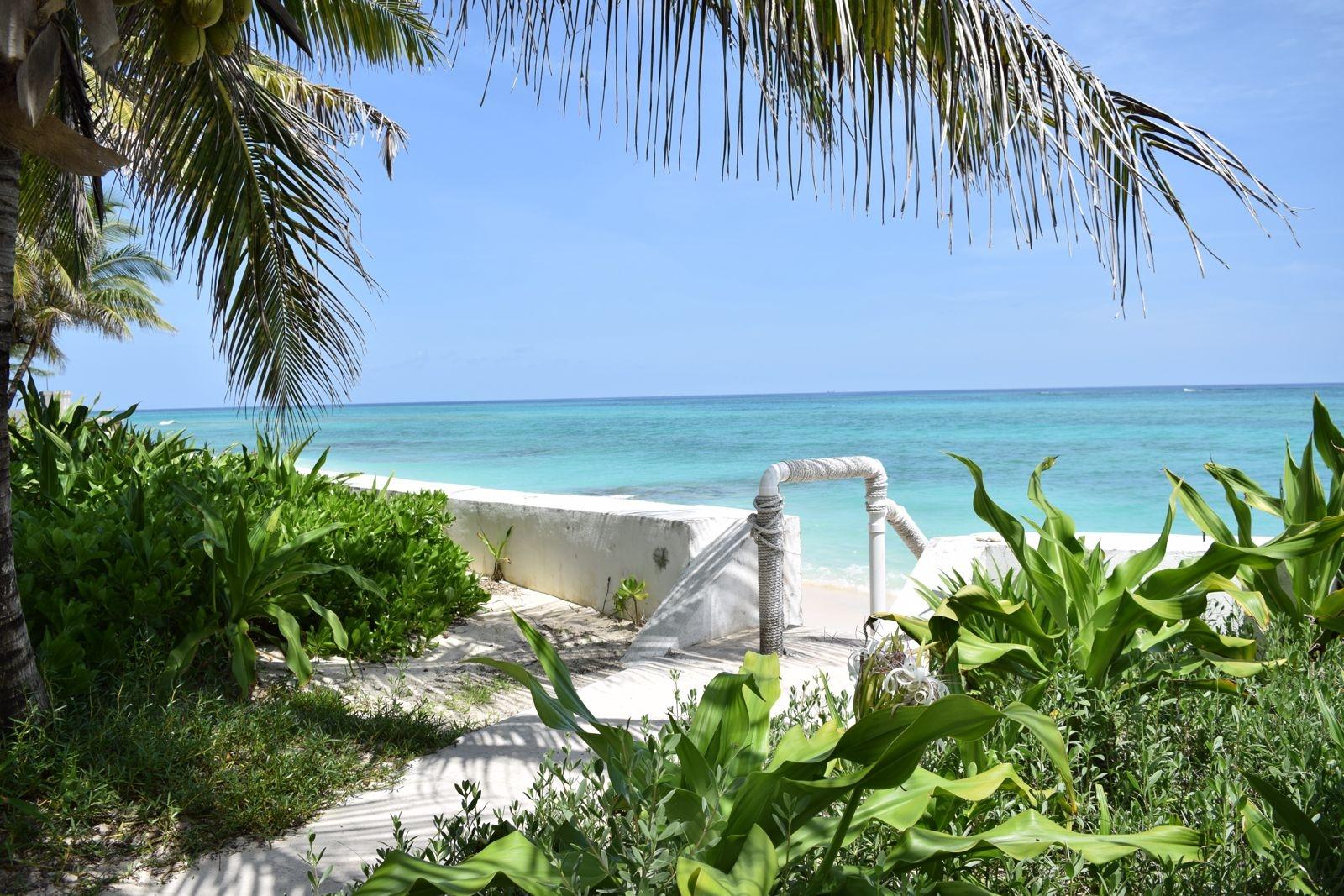 PALMS OF LOVE BEACH