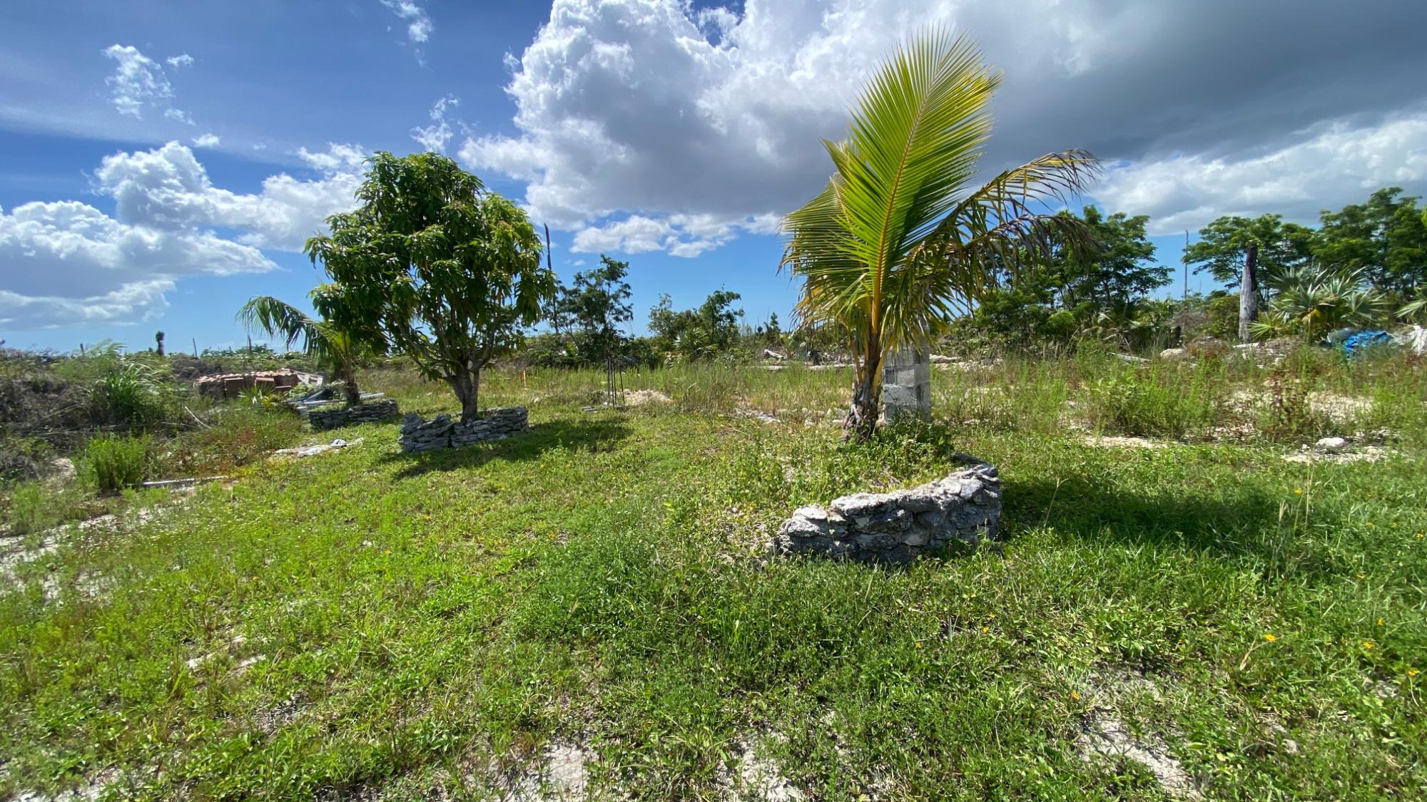 LUCAYAN GLENN