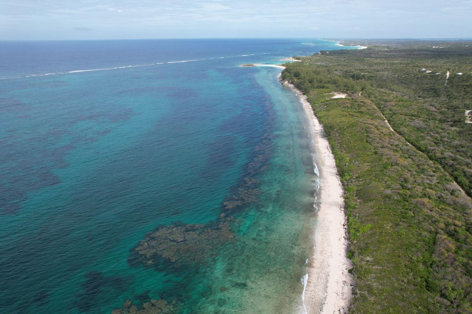 Oceanfront Lot