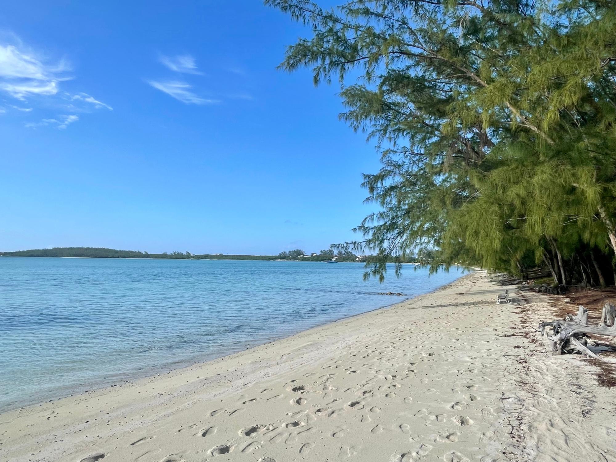 Whale Point Estates