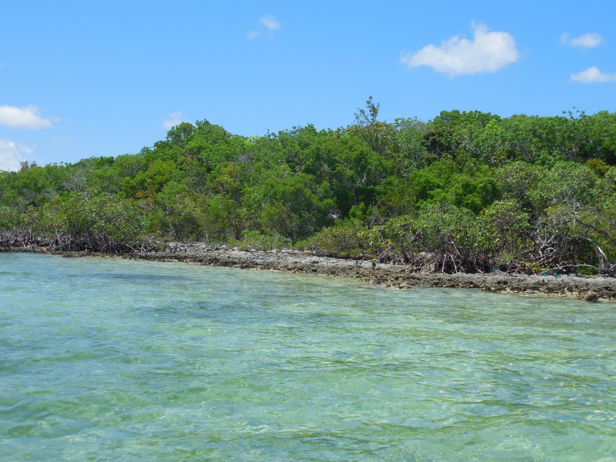 NEAR CASUARINA POINT