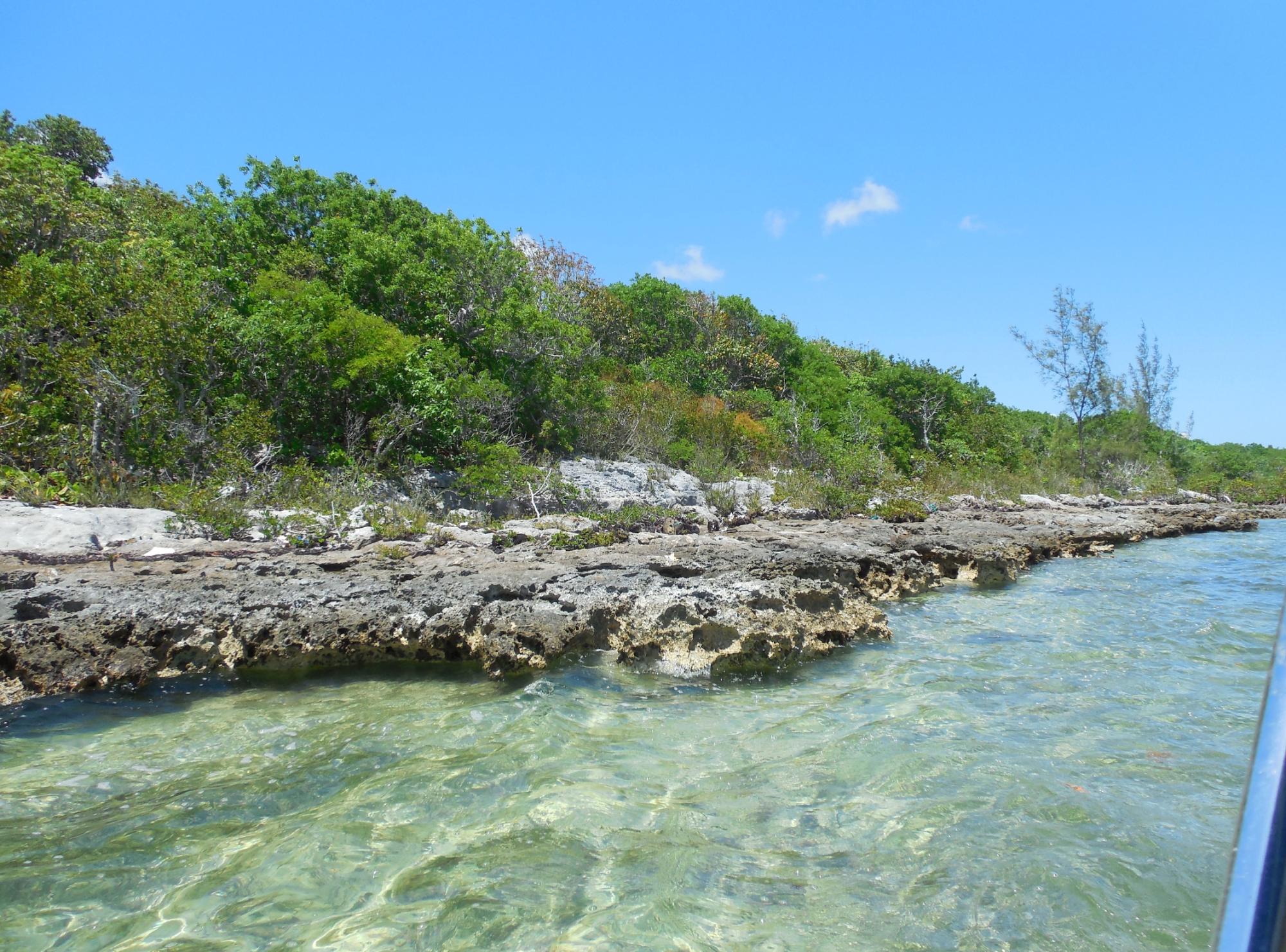 NEAR CASUARINA POINT