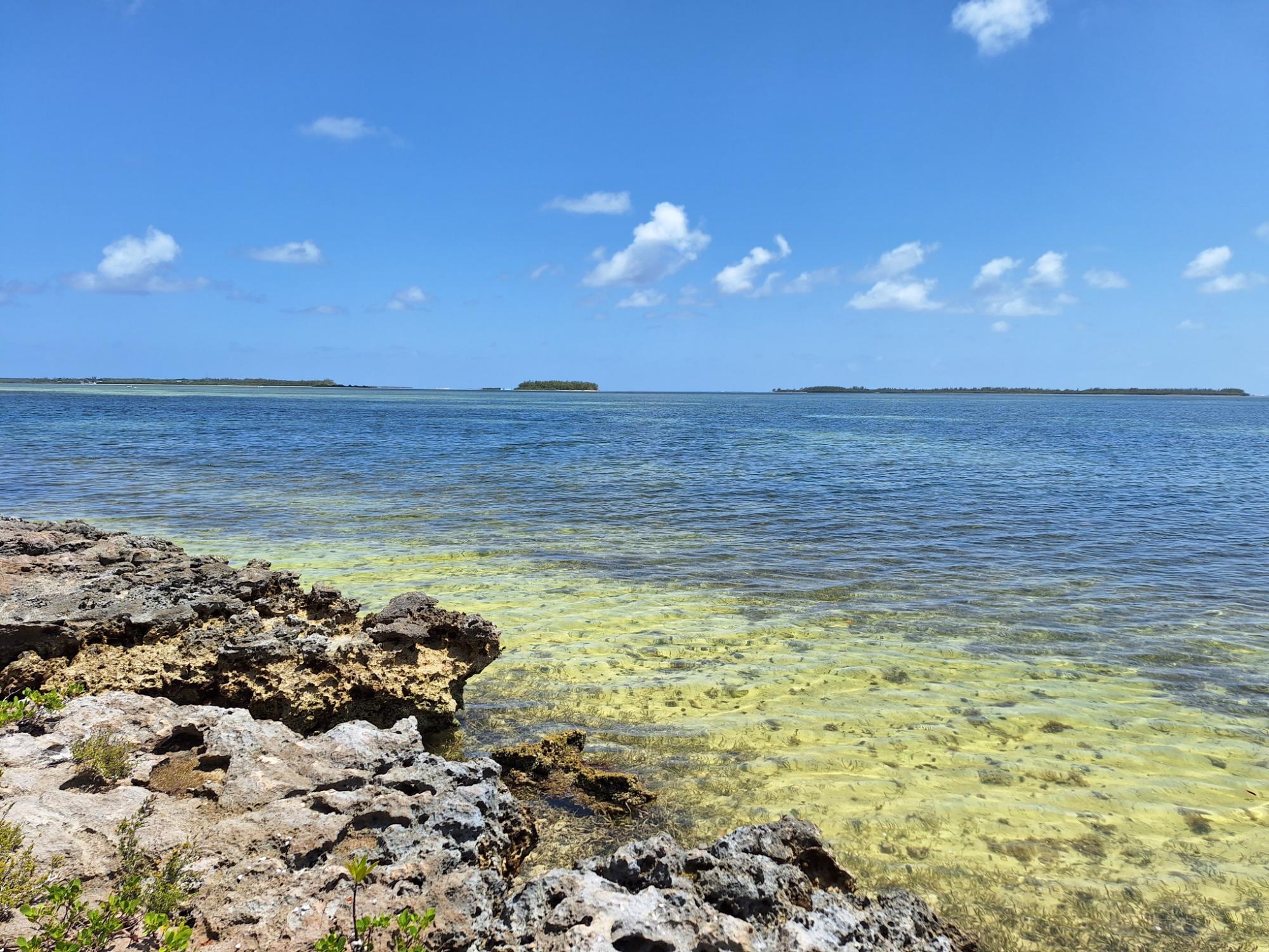 NEAR CASUARINA POINT