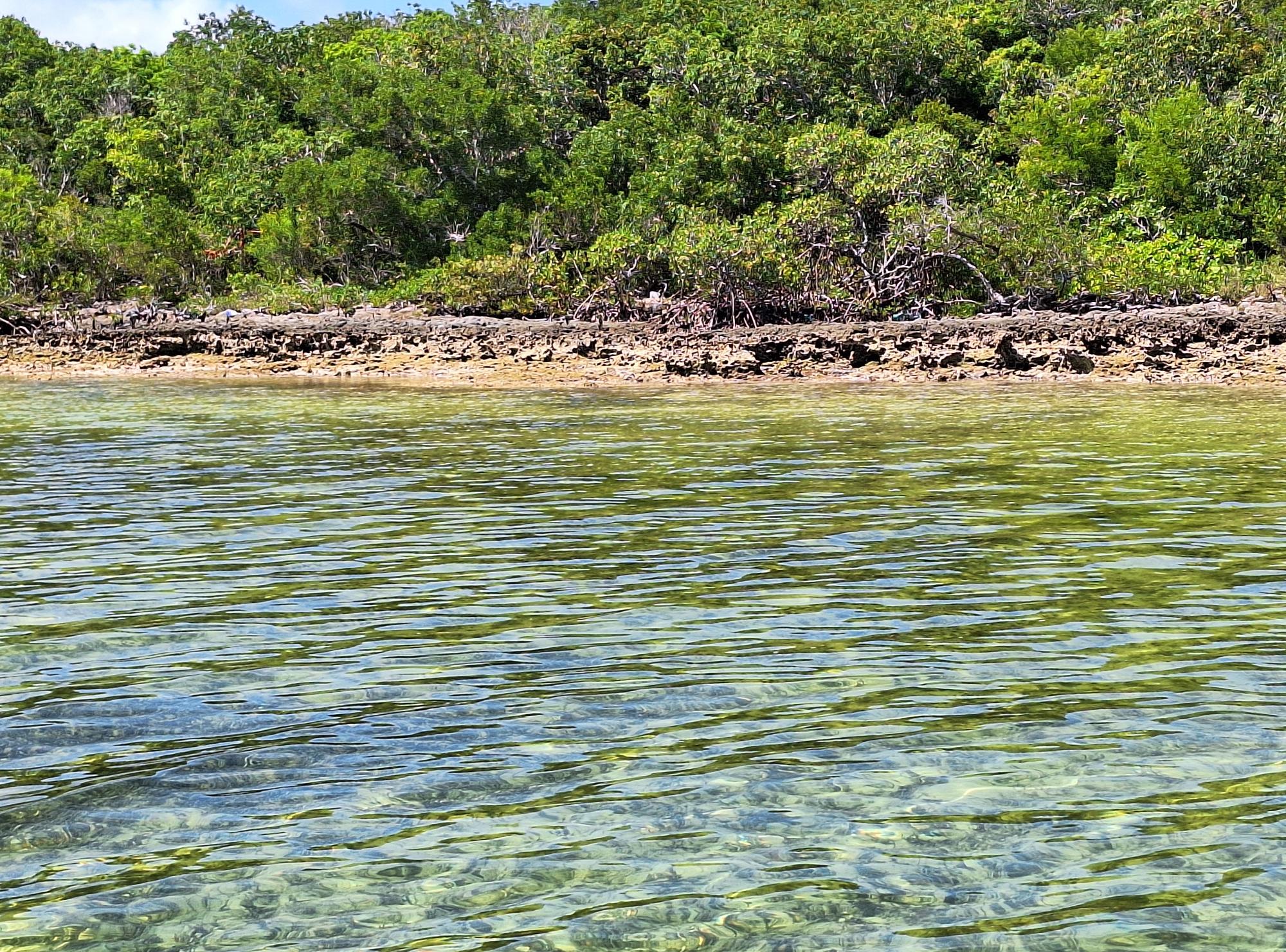 NEAR CASUARINA POINT