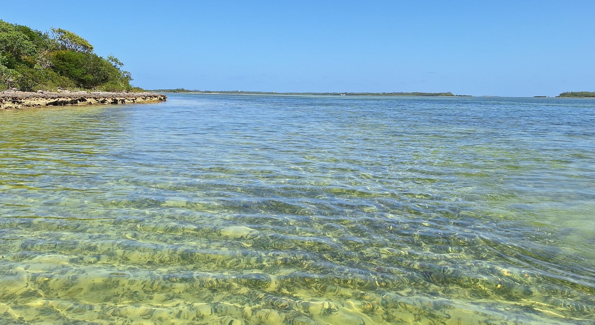 NEAR CASUARINA POINT
