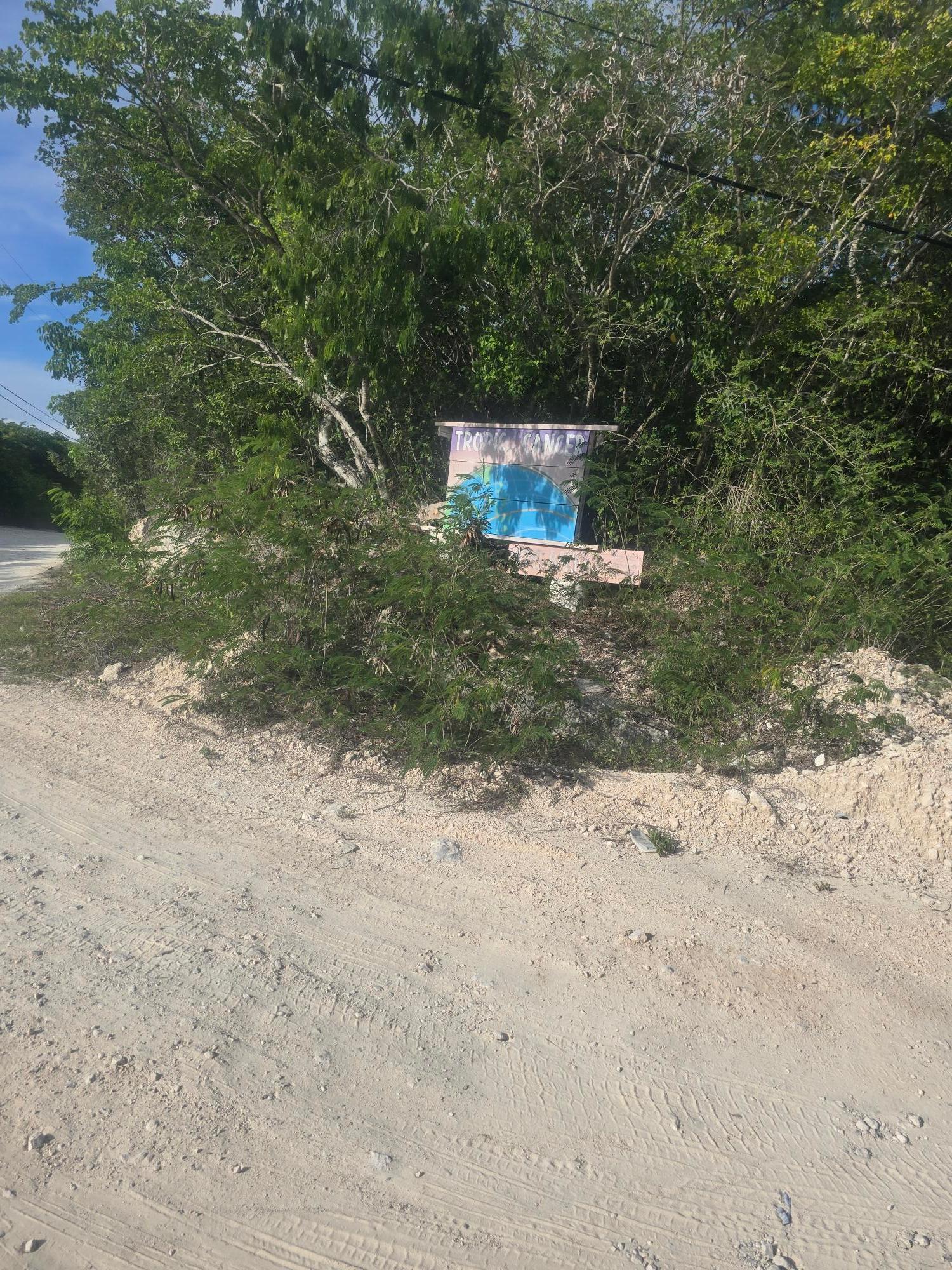 FLAMINGO DRIVE BIB