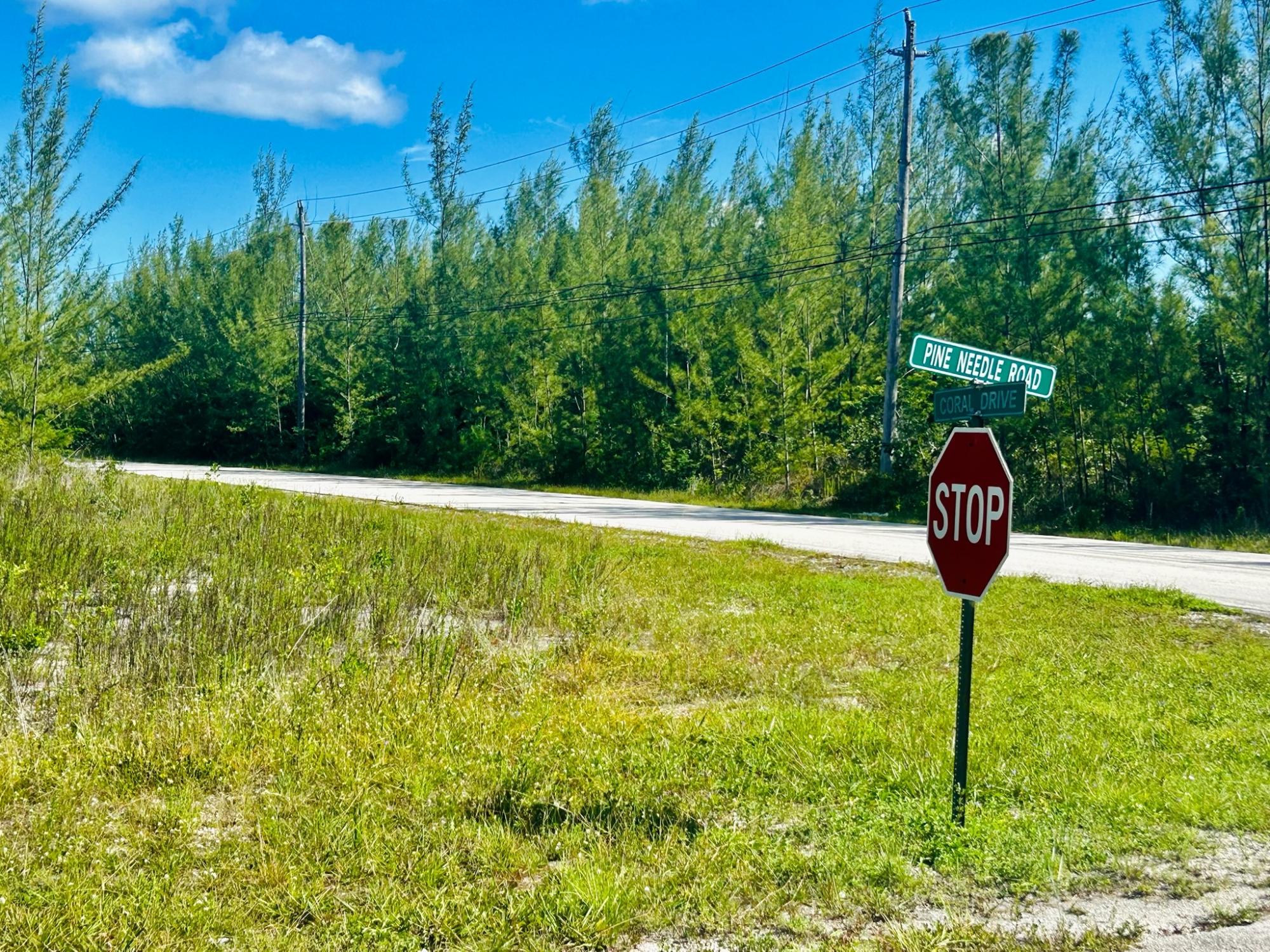 PINE NEEDLE ROAD