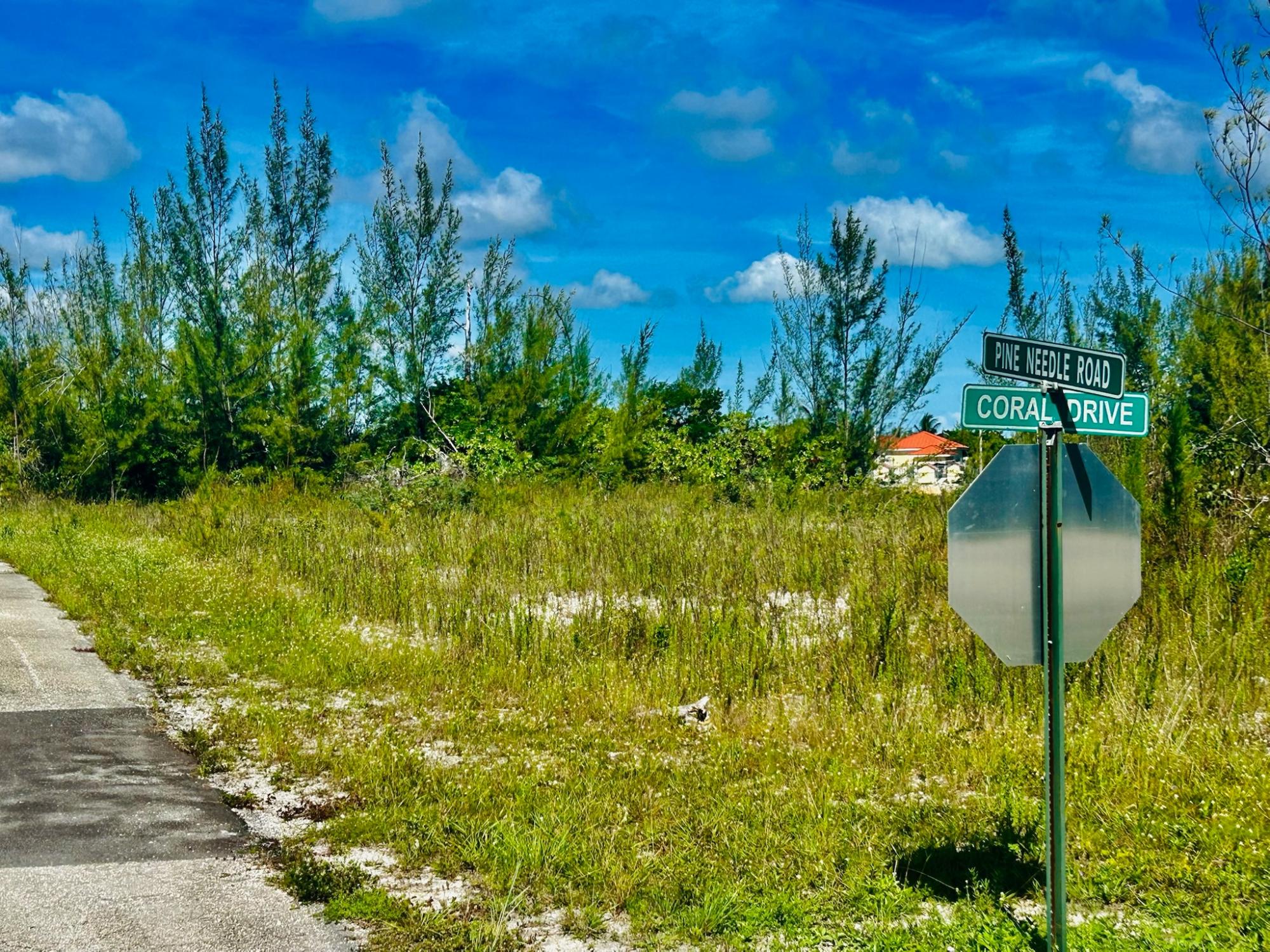 PINE NEEDLE ROAD