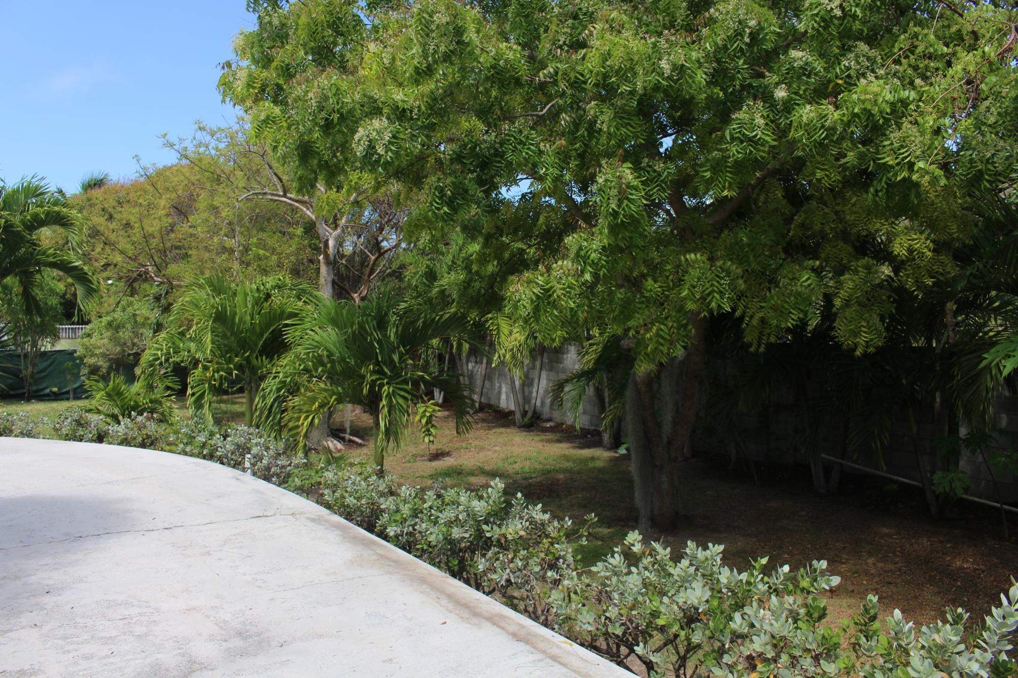 BOUGANVILLA LANE