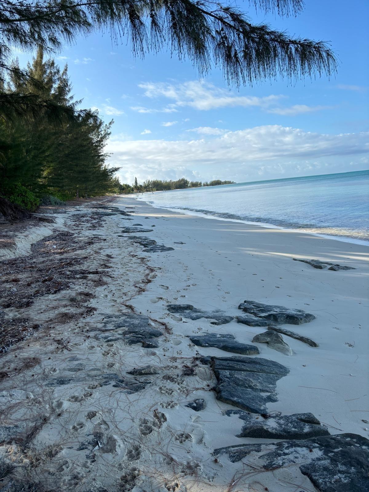 SANDY POINT ABACO