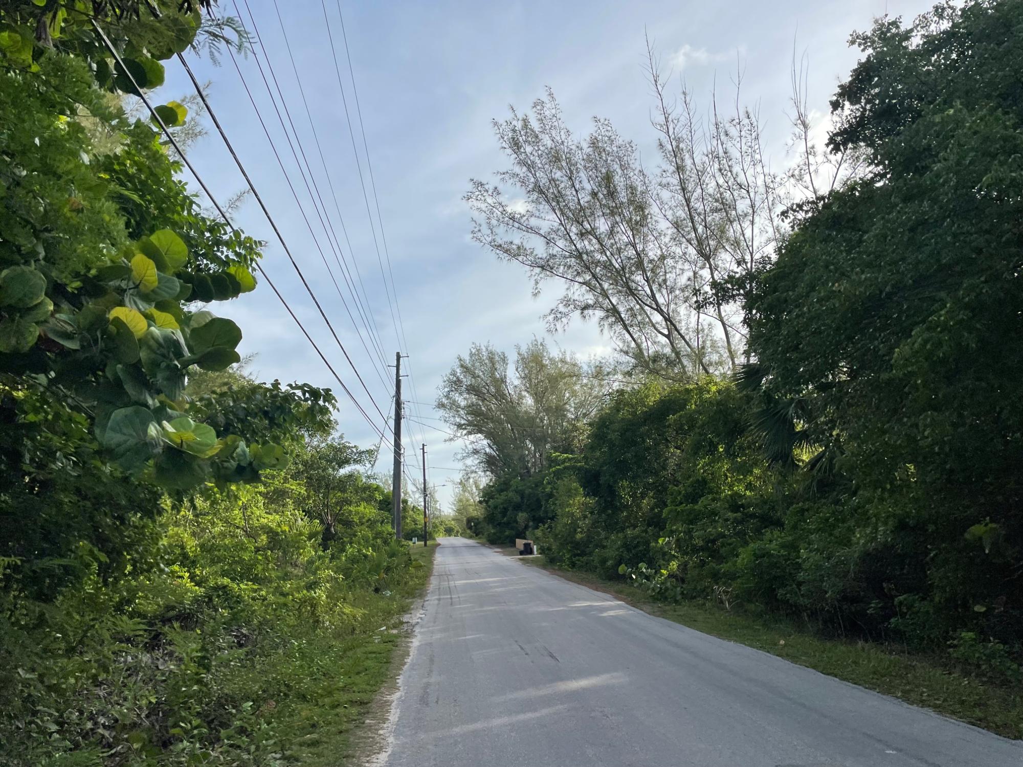 Current Lot 1 Acre