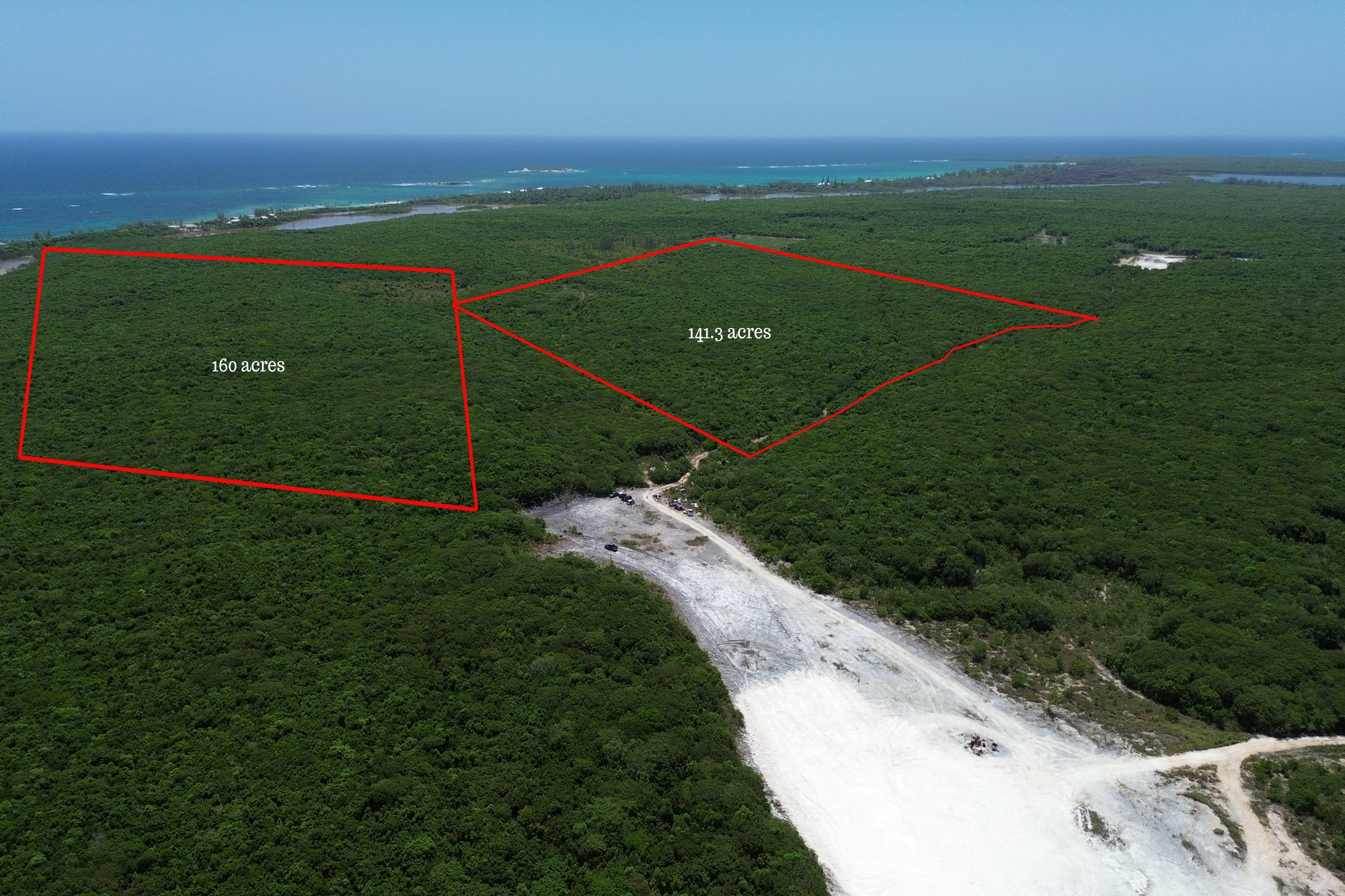 141.3 ACRES BURNS POND