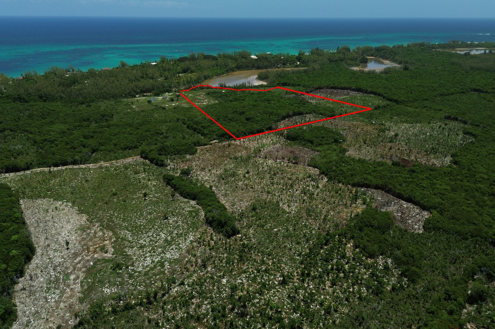141.3 ACRES BURNS POND