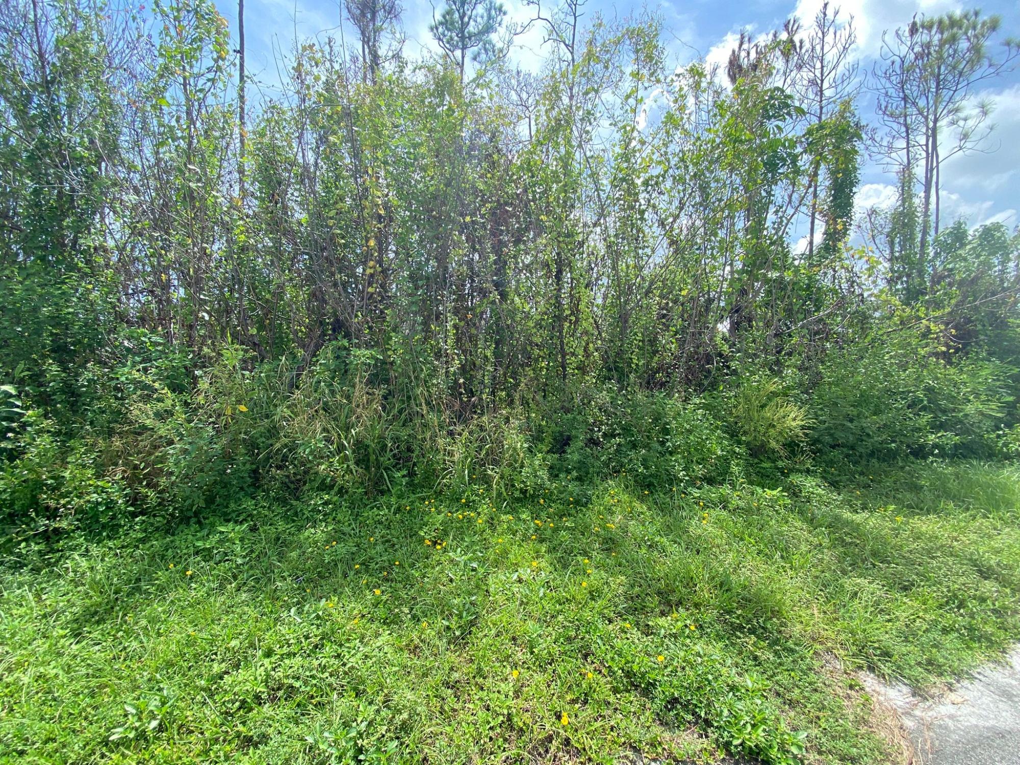 Single Family Lot
