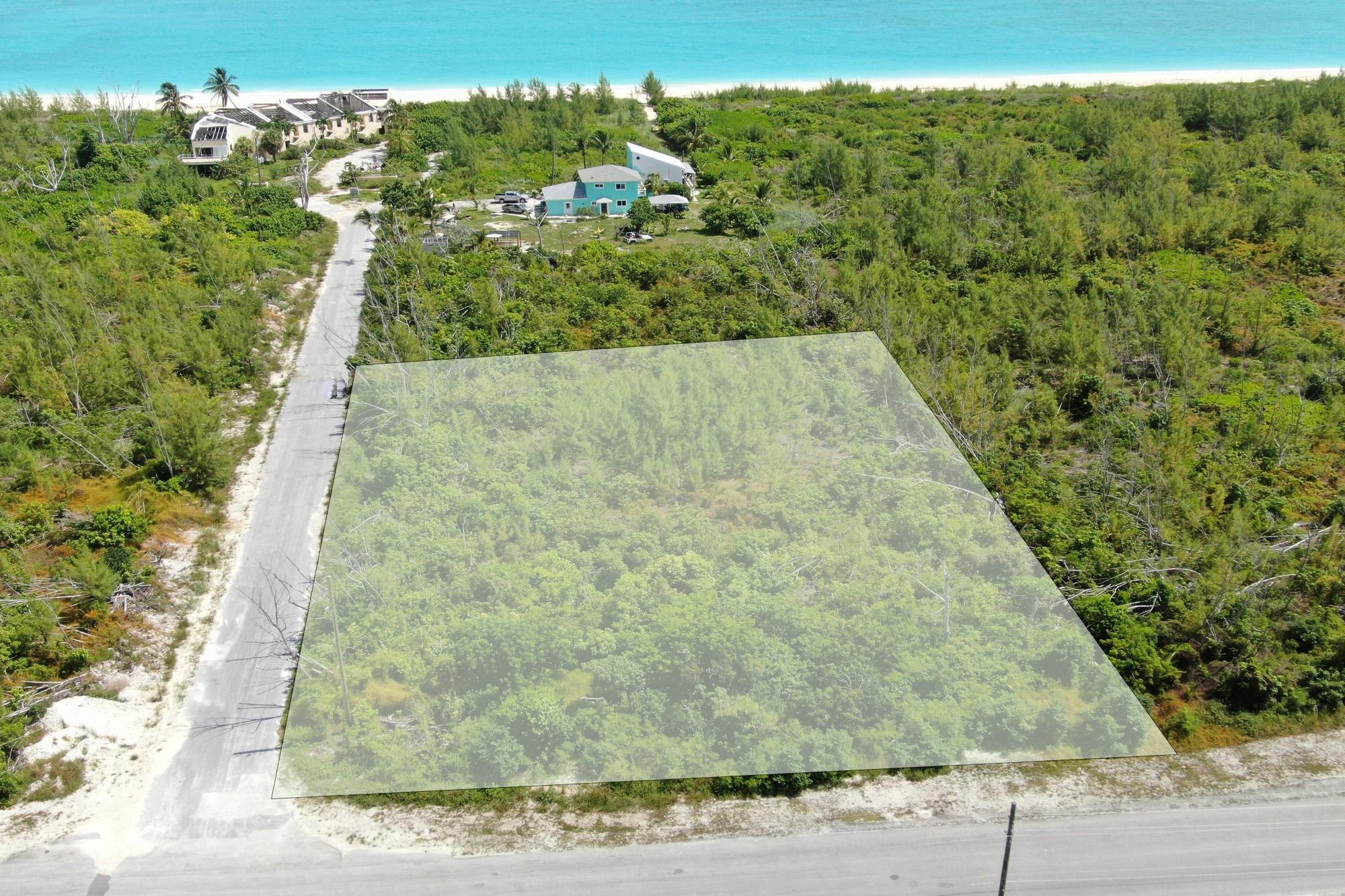 PRIME MULTI FAMILY LOTS