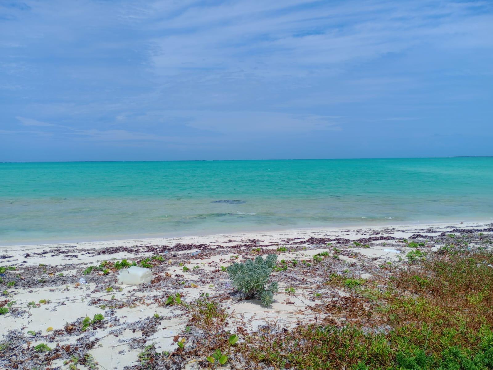 BEACHFRONT MAYAGUANA