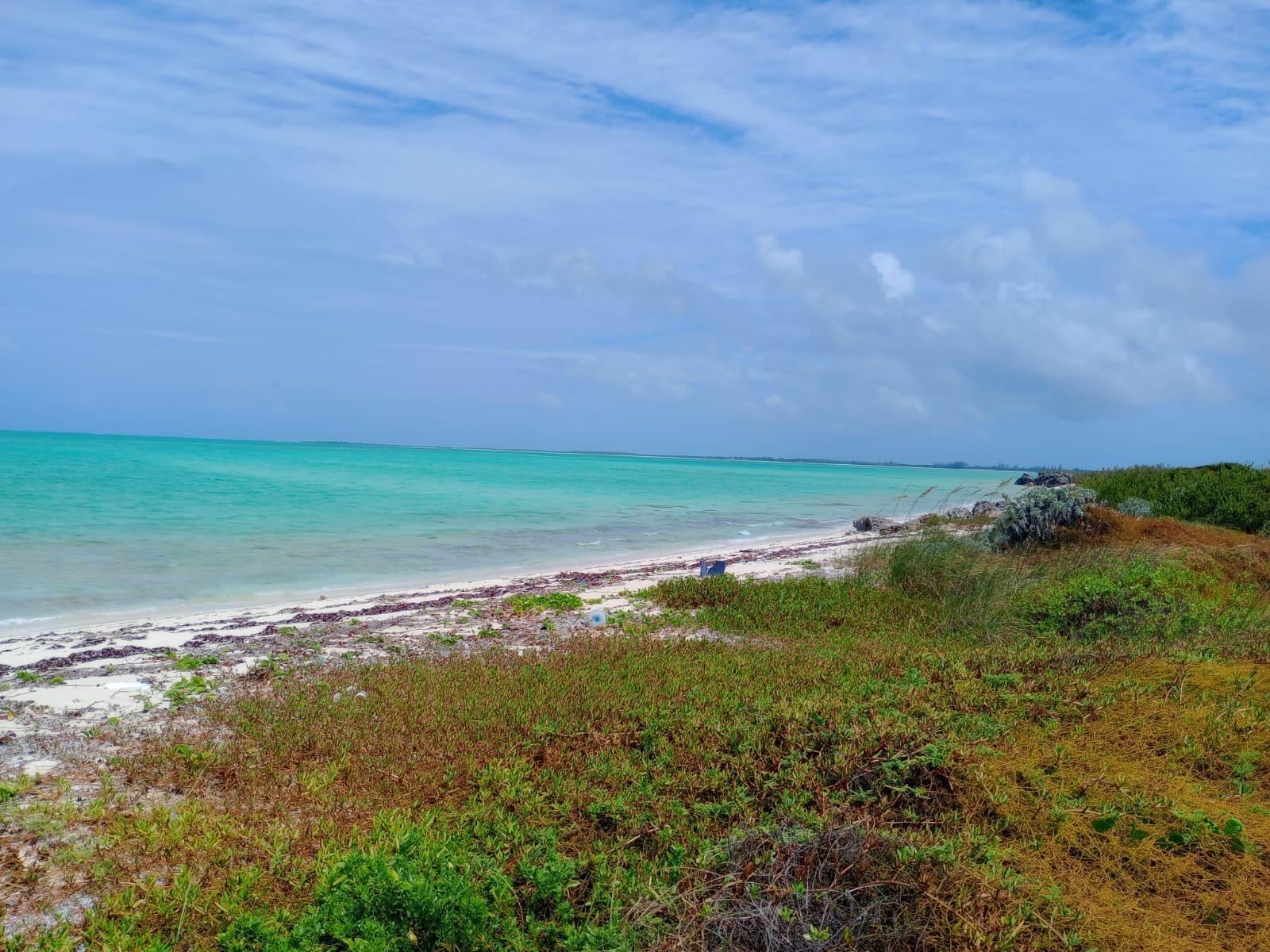 BEACHFRONT MAYAGUANA