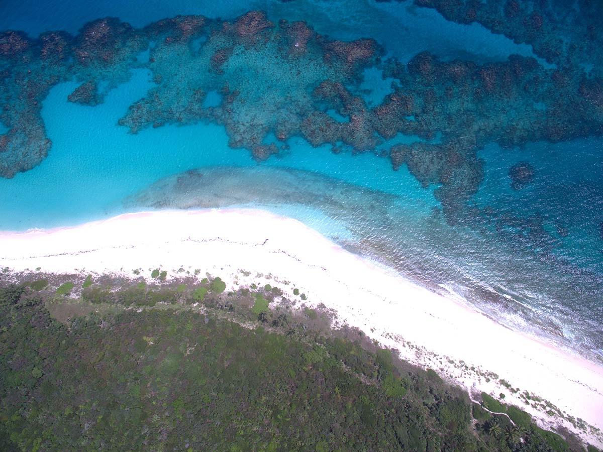 JOE BOOKIE BAY