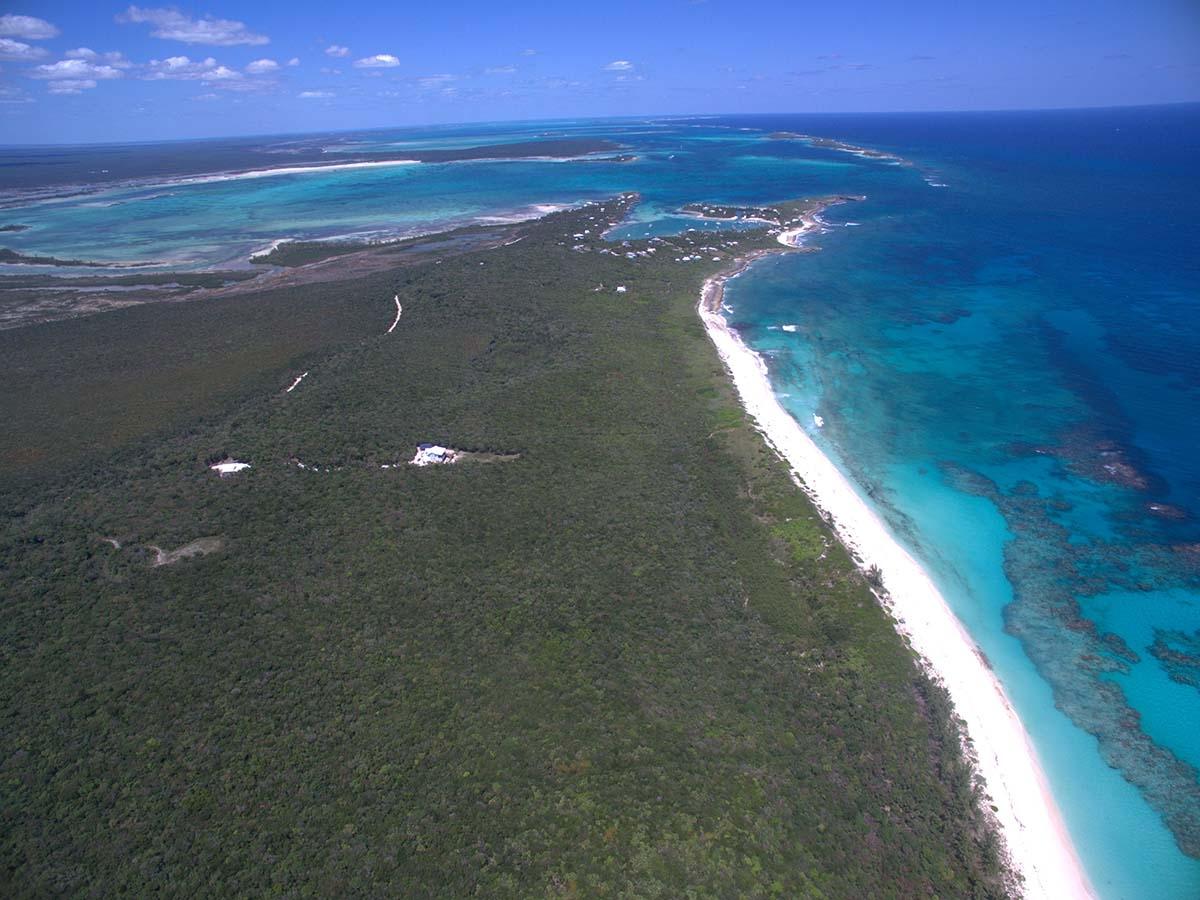 JOE BOOKIE BAY