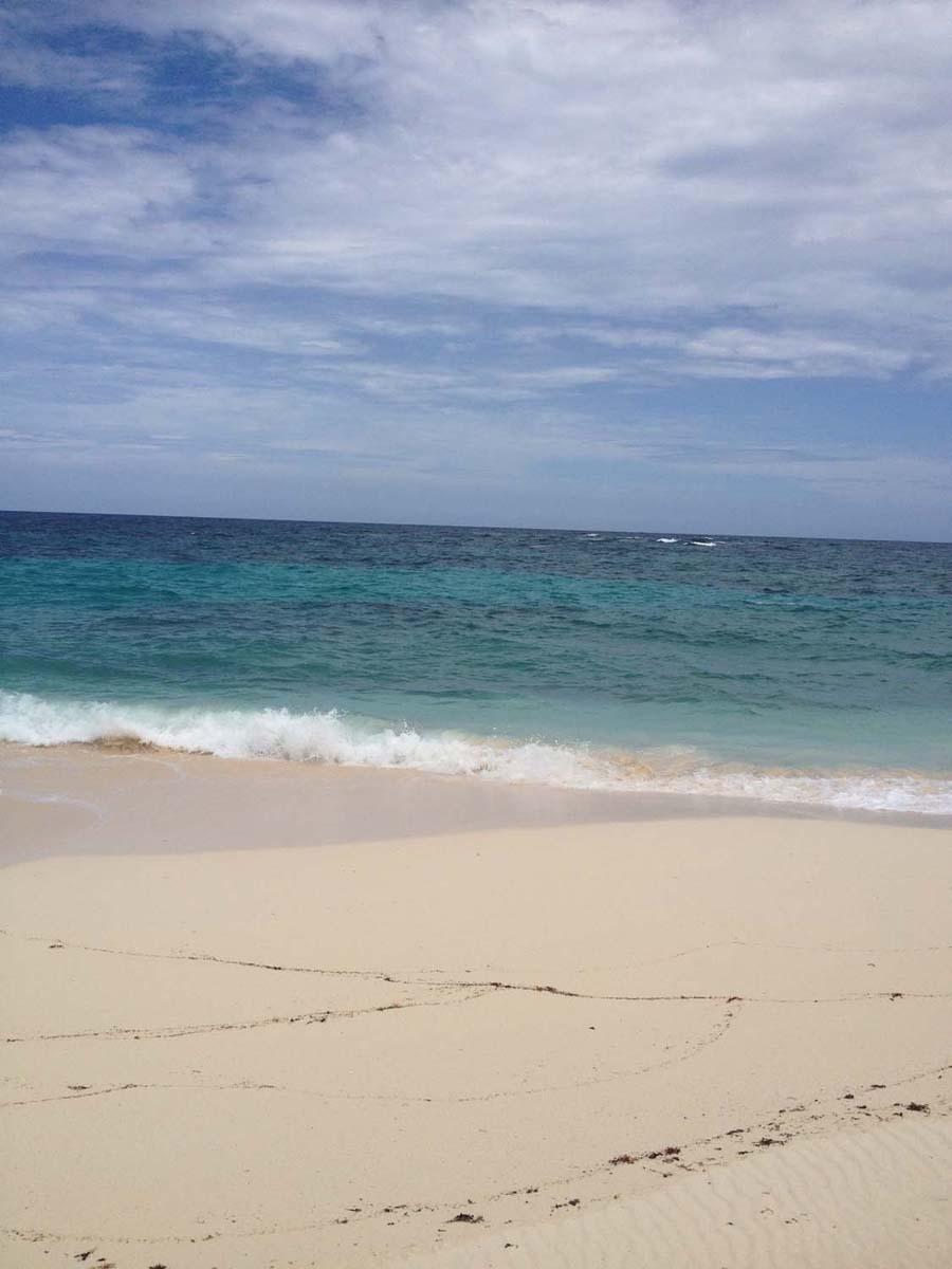 JOE BOOKIE BAY
