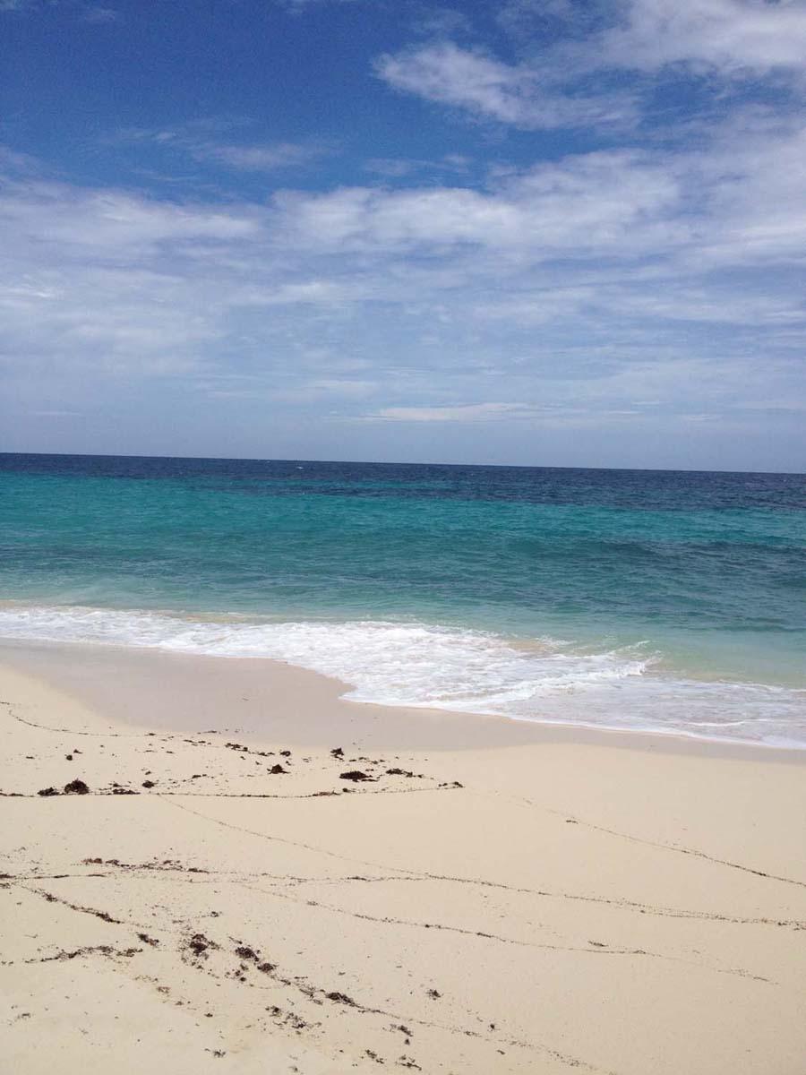 JOE BOOKIE BAY