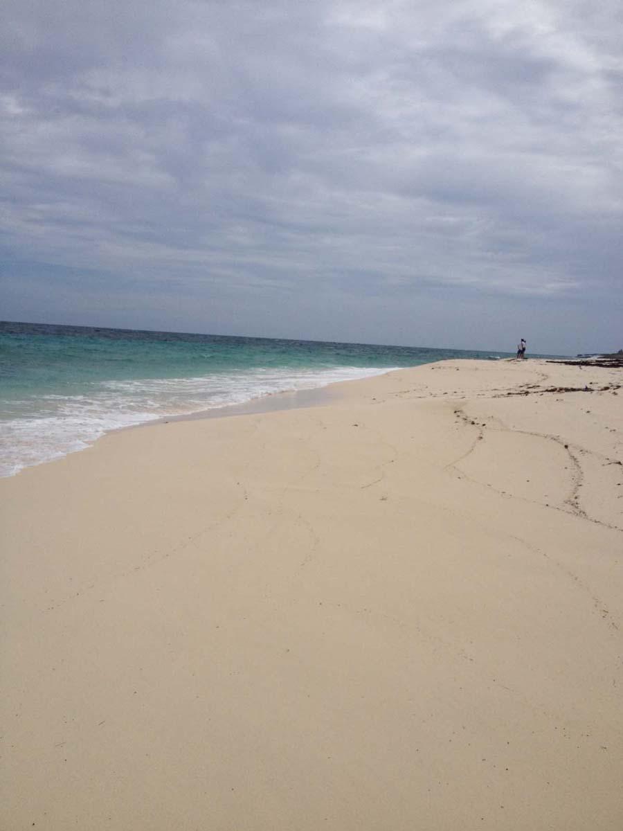 JOE BOOKIE BAY