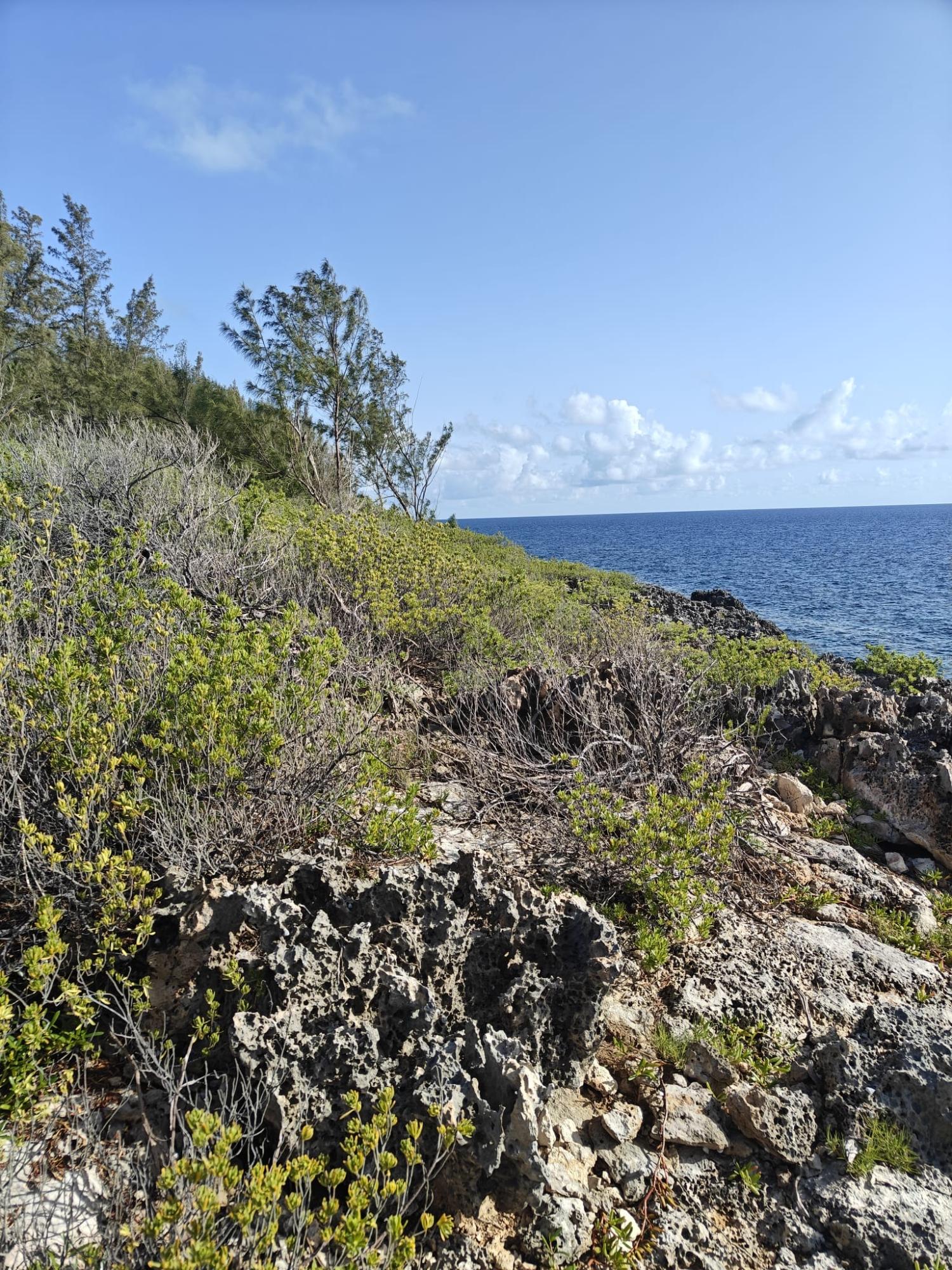 MORGAN’S DRIVE (BLUFF ROAD)