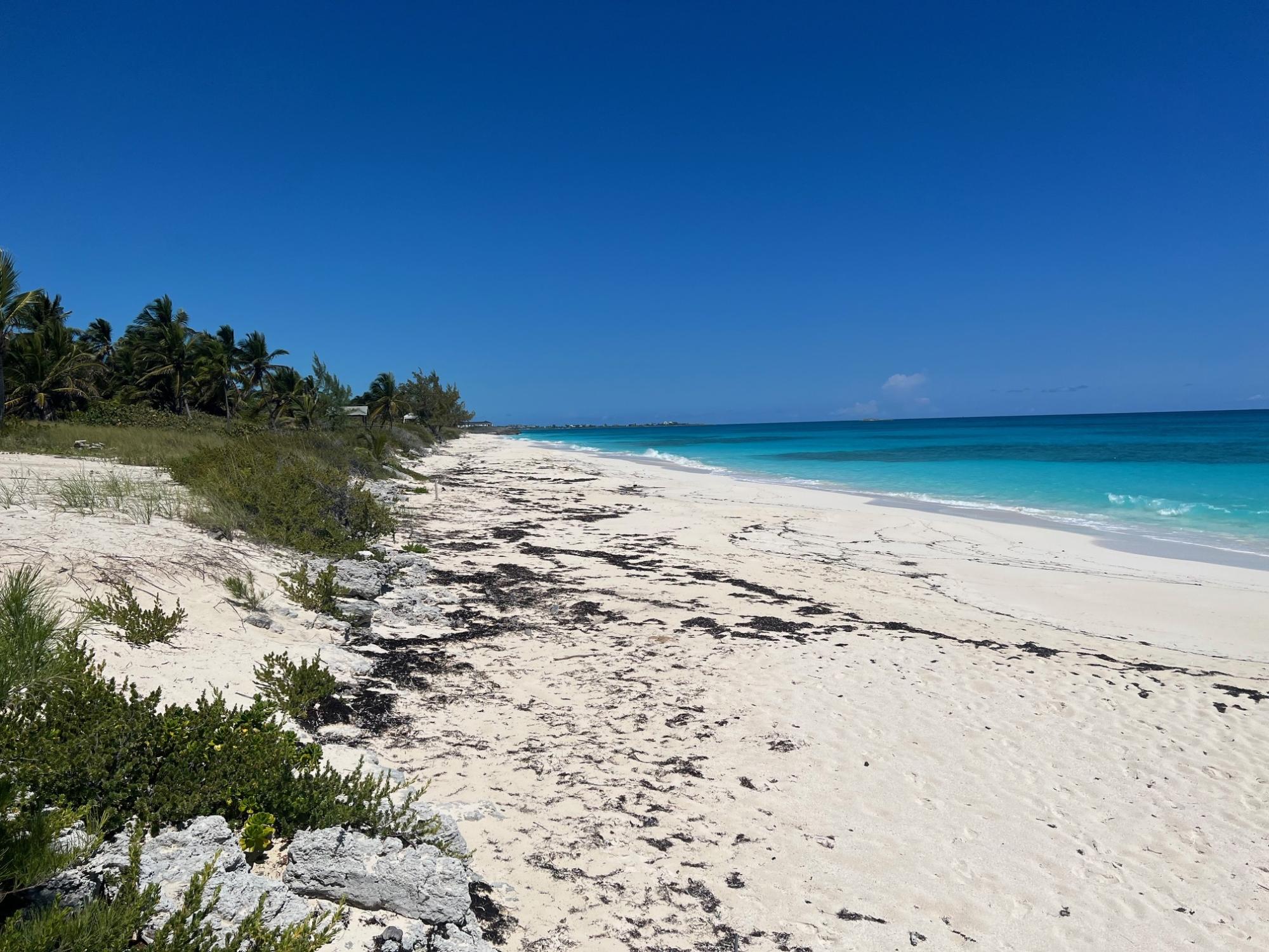 Exuma Palms Resort