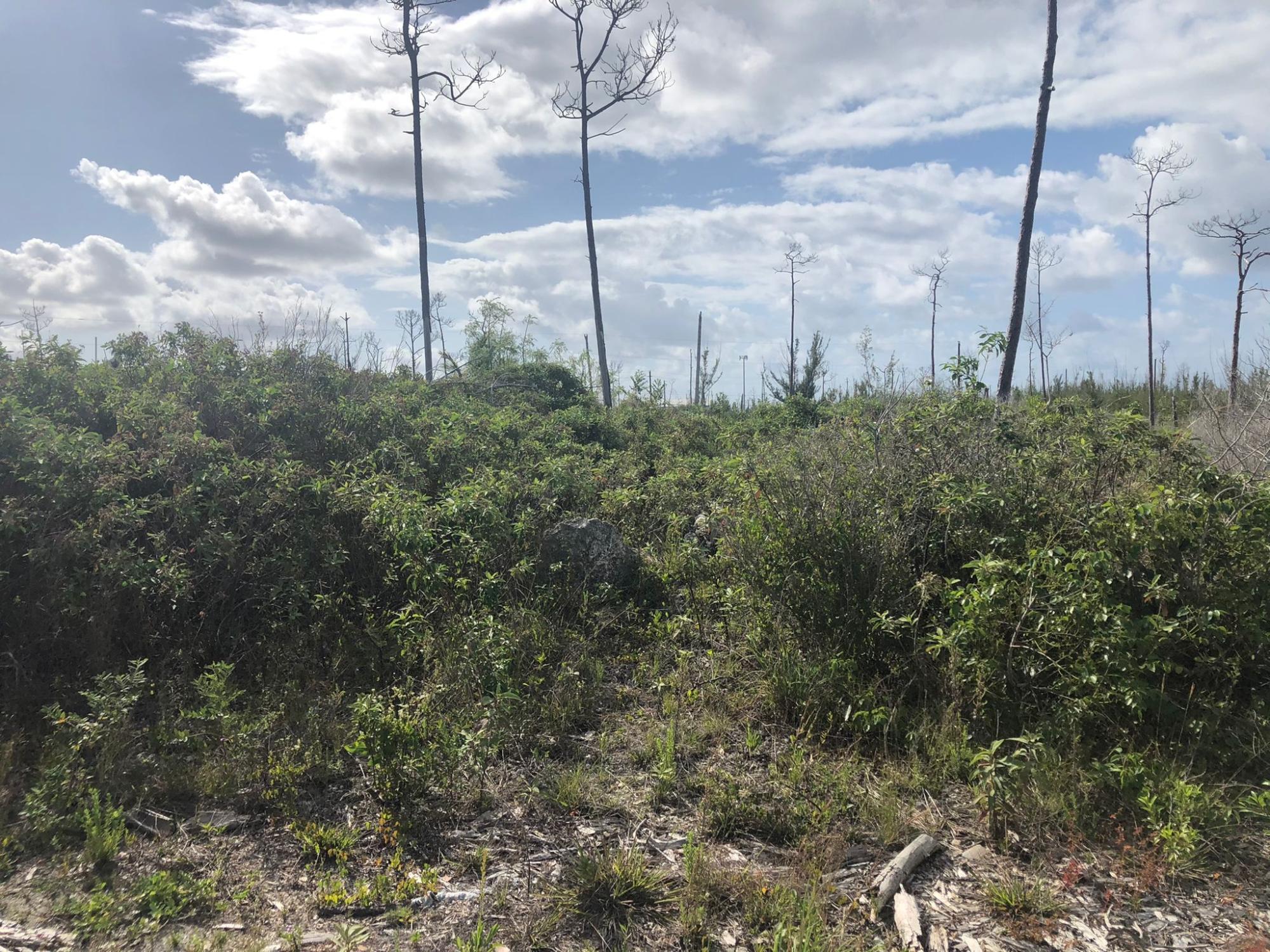 GRAND BAHAMA LOT