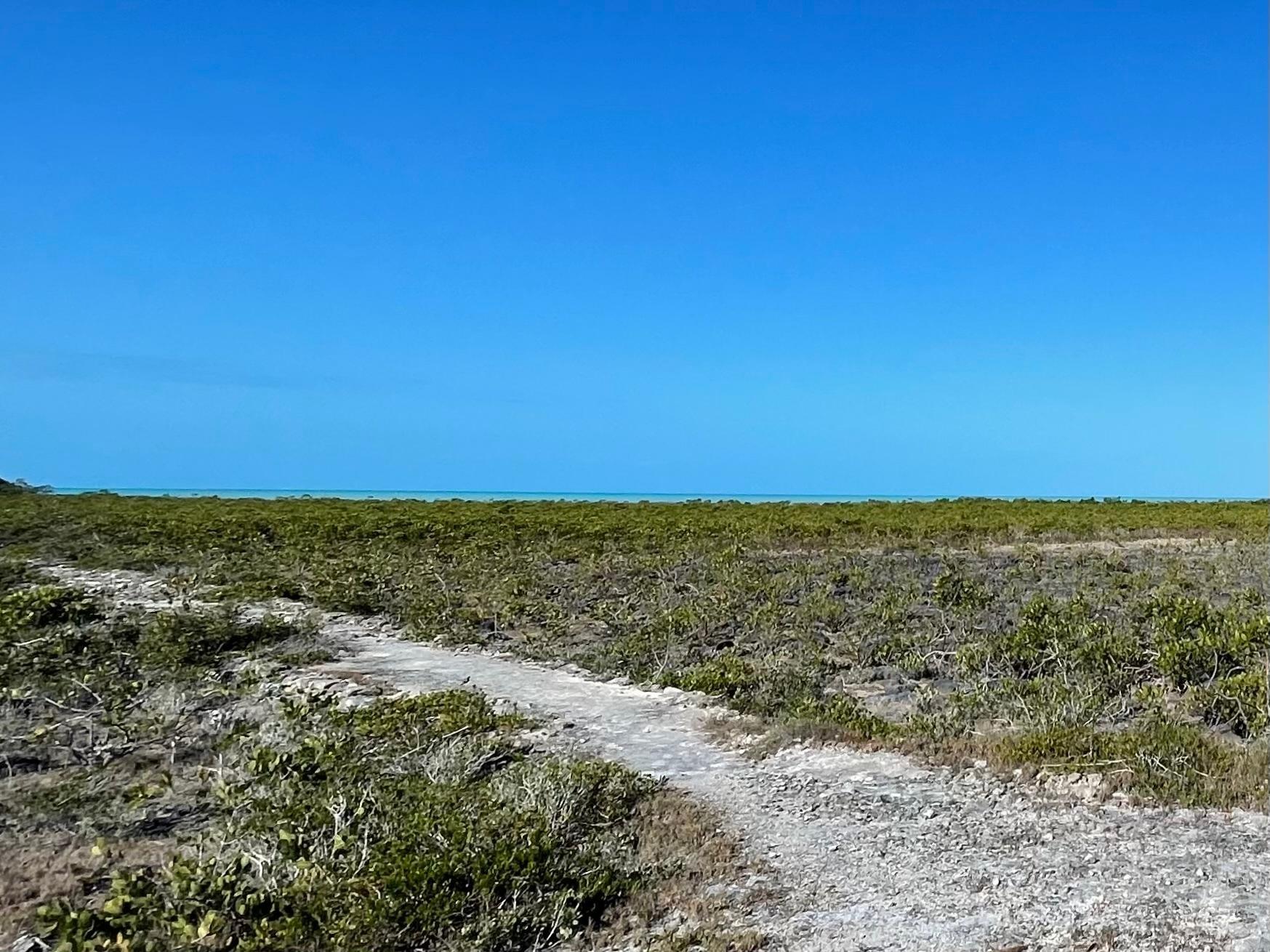 BAHAMA SOUND