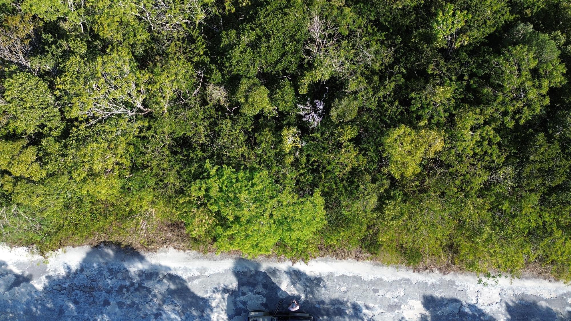 BAHAMA SOUND