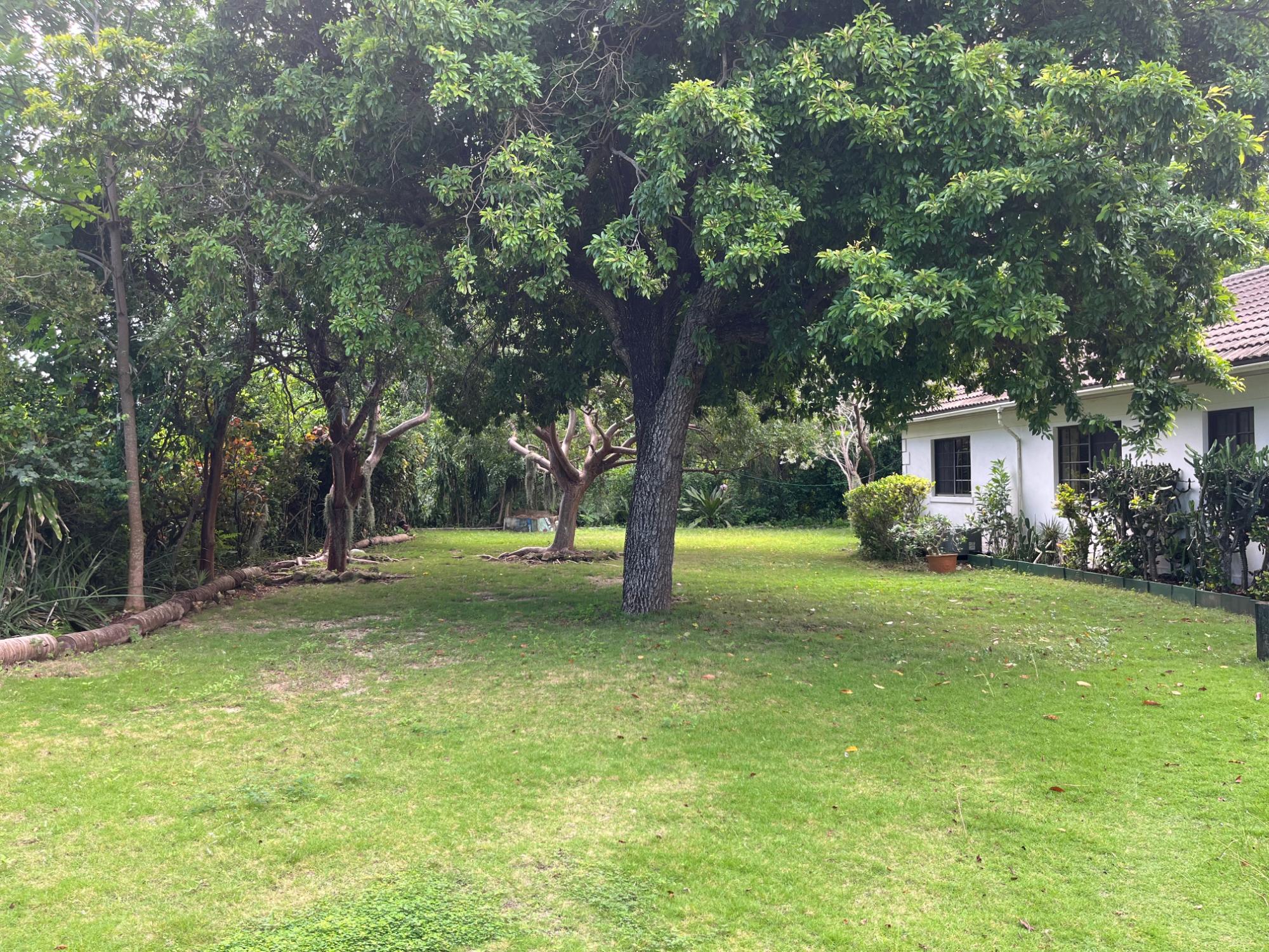 69 MONTAGU AVENUE