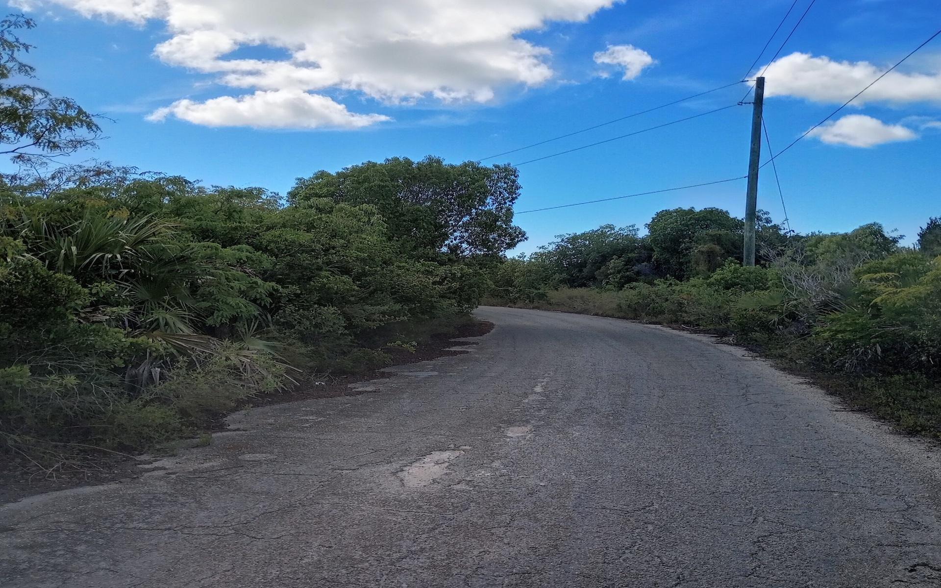 LOT 17713 COLEUS DRIVE