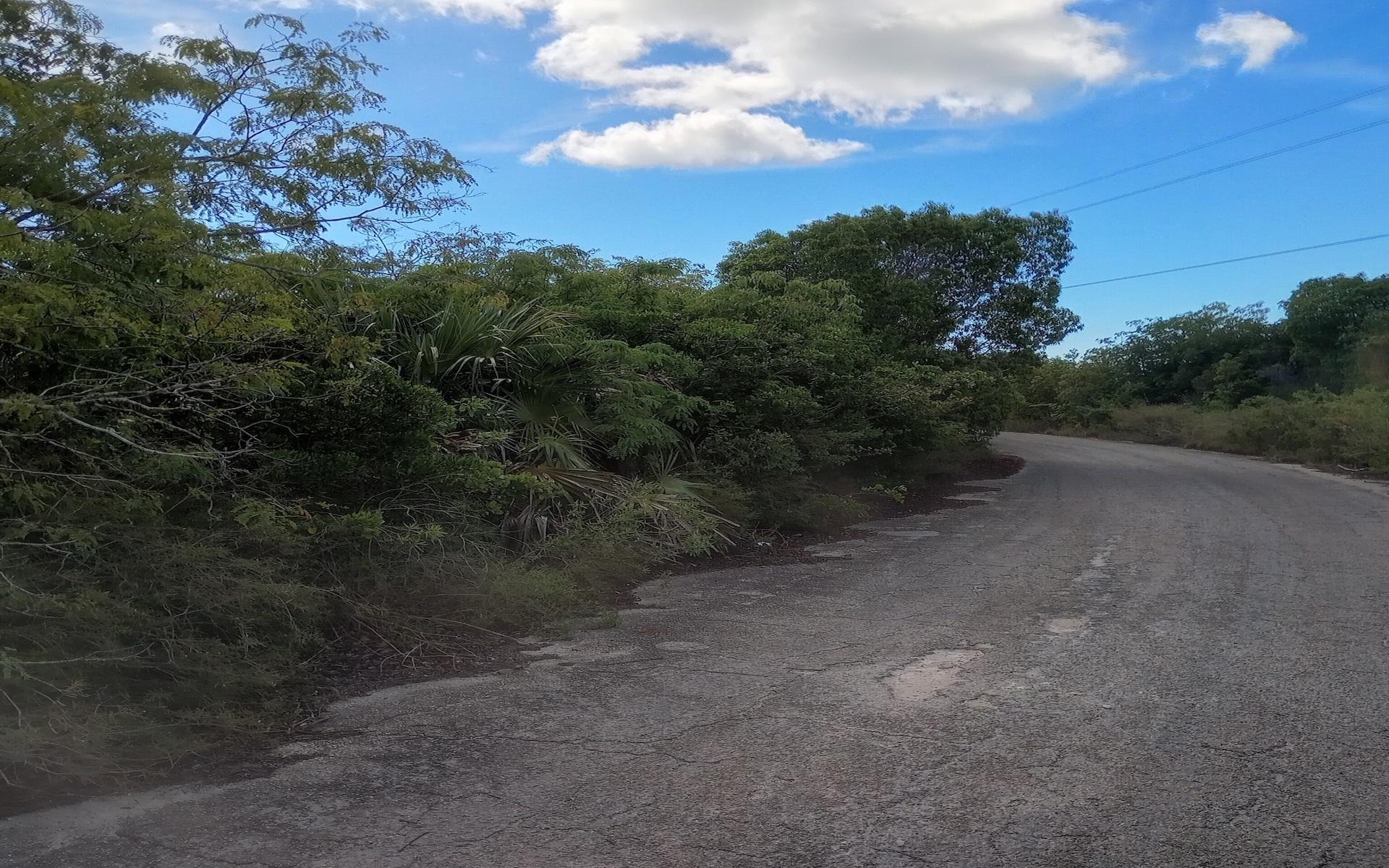 LOT 17713 COLEUS DRIVE